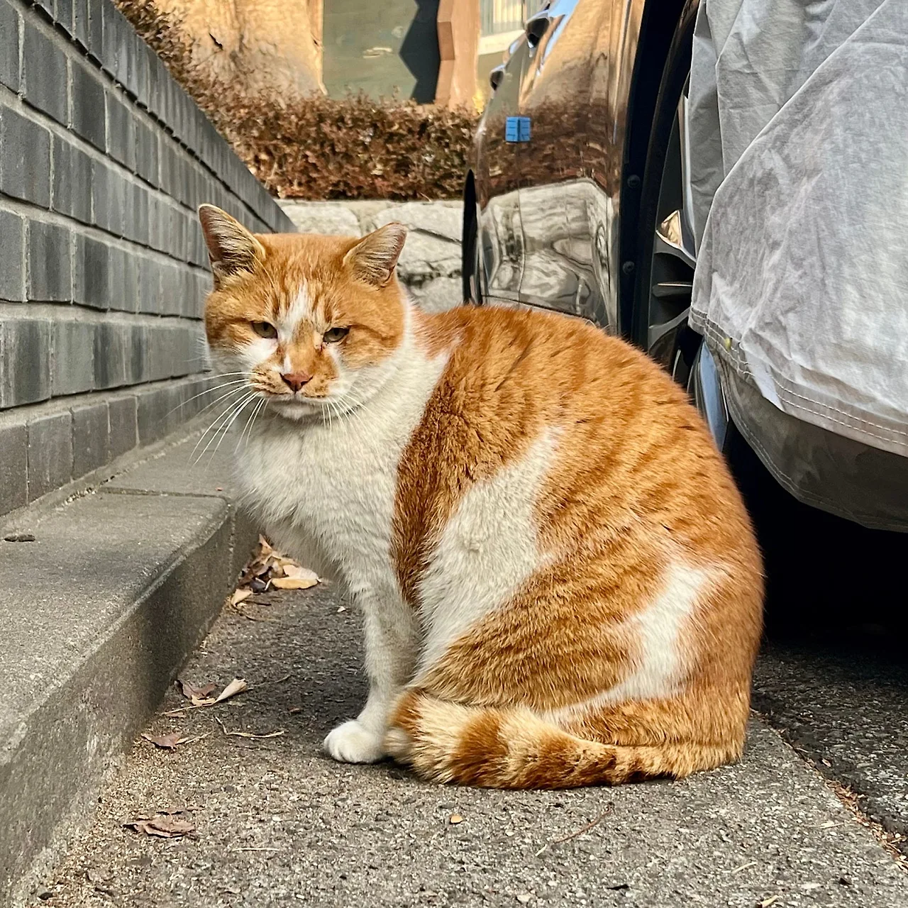 SE-9EF3FF1B-E73A-4558-A7D9-6C69CE2ACAE1.jpg?type=w1600