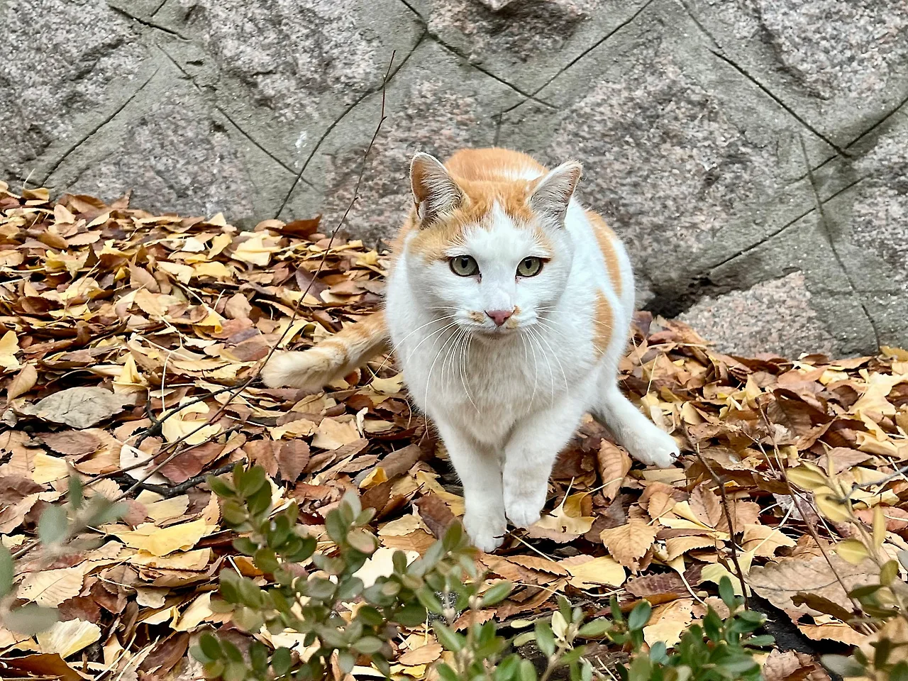 IMG%EF%BC%BF9284.jpg?type=w1600