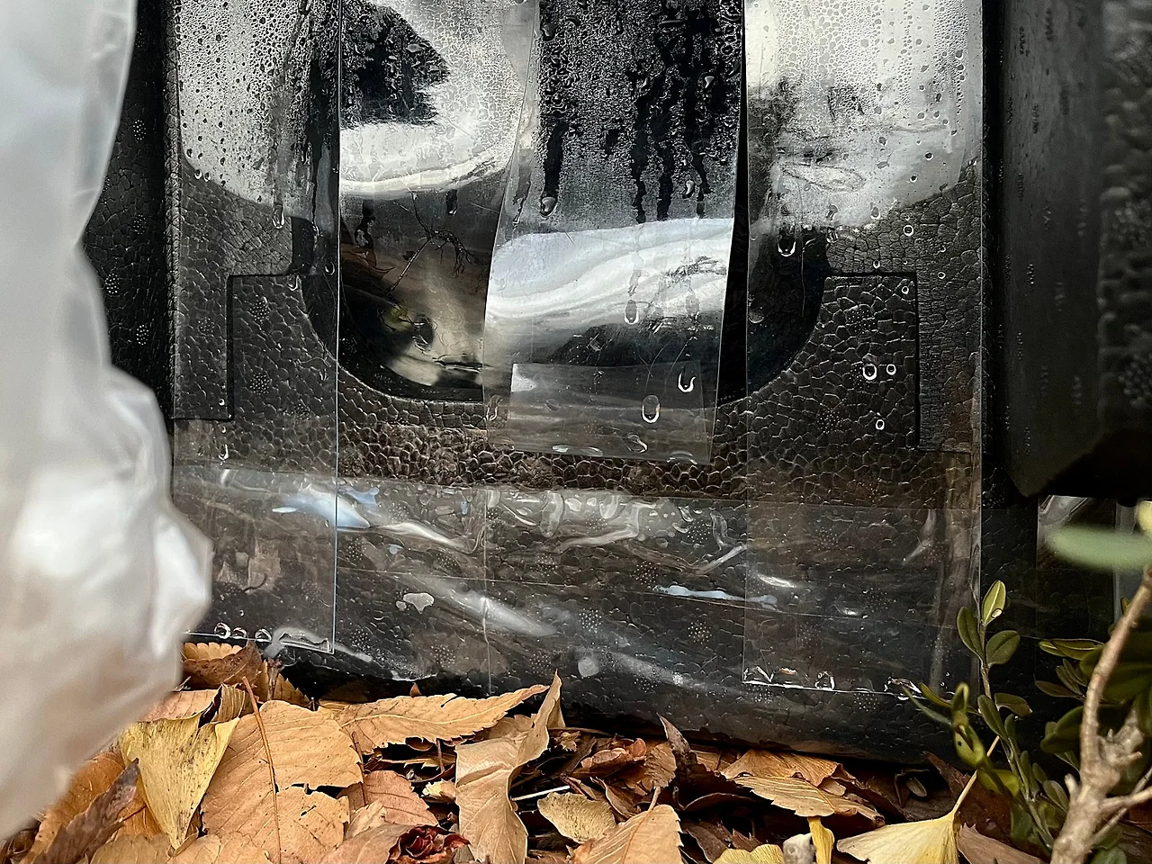 IMG%EF%BC%BF0727.jpg?type=w1600