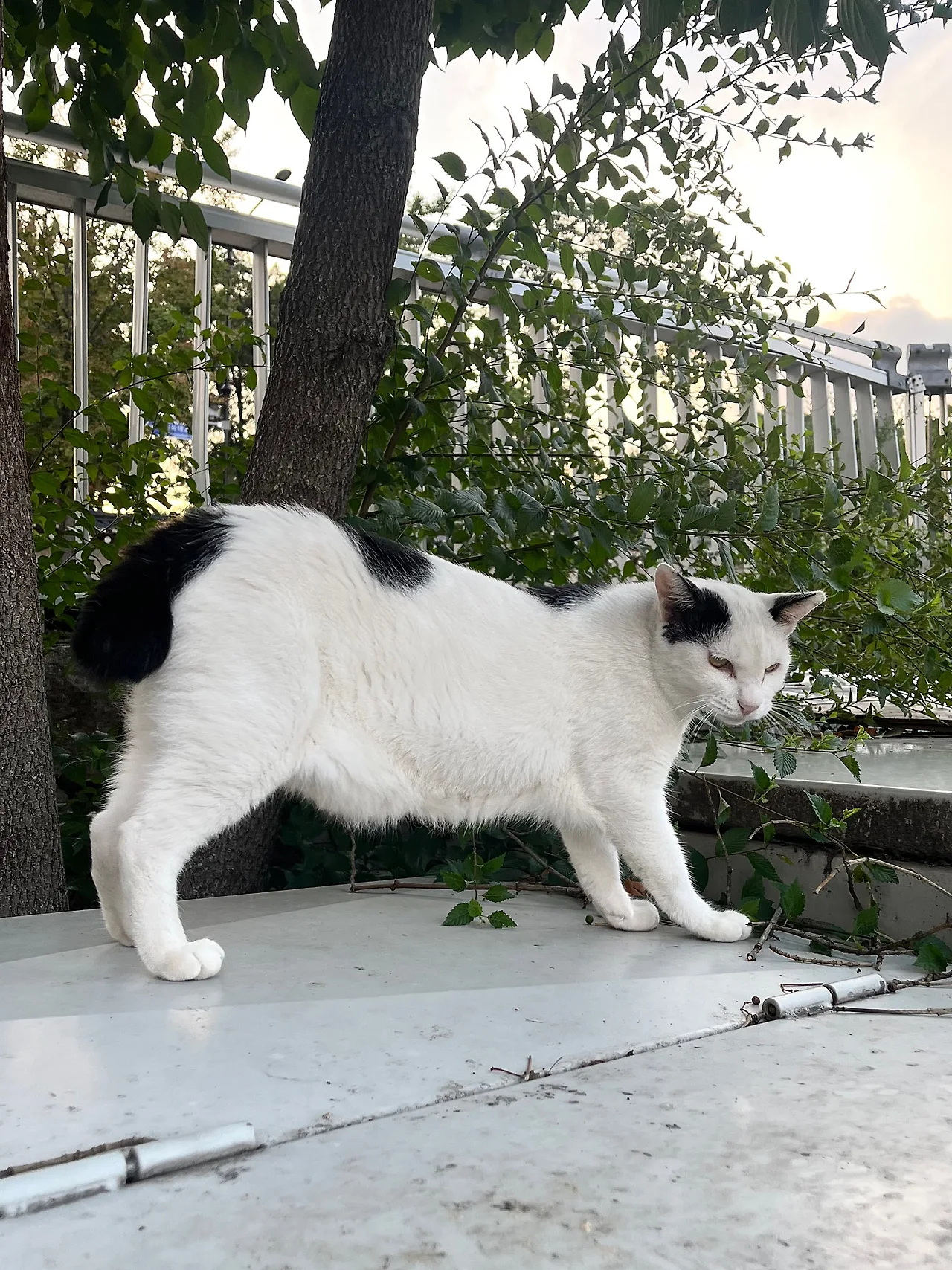 IMG%EF%BC%BF0531.jpg?type=w1600