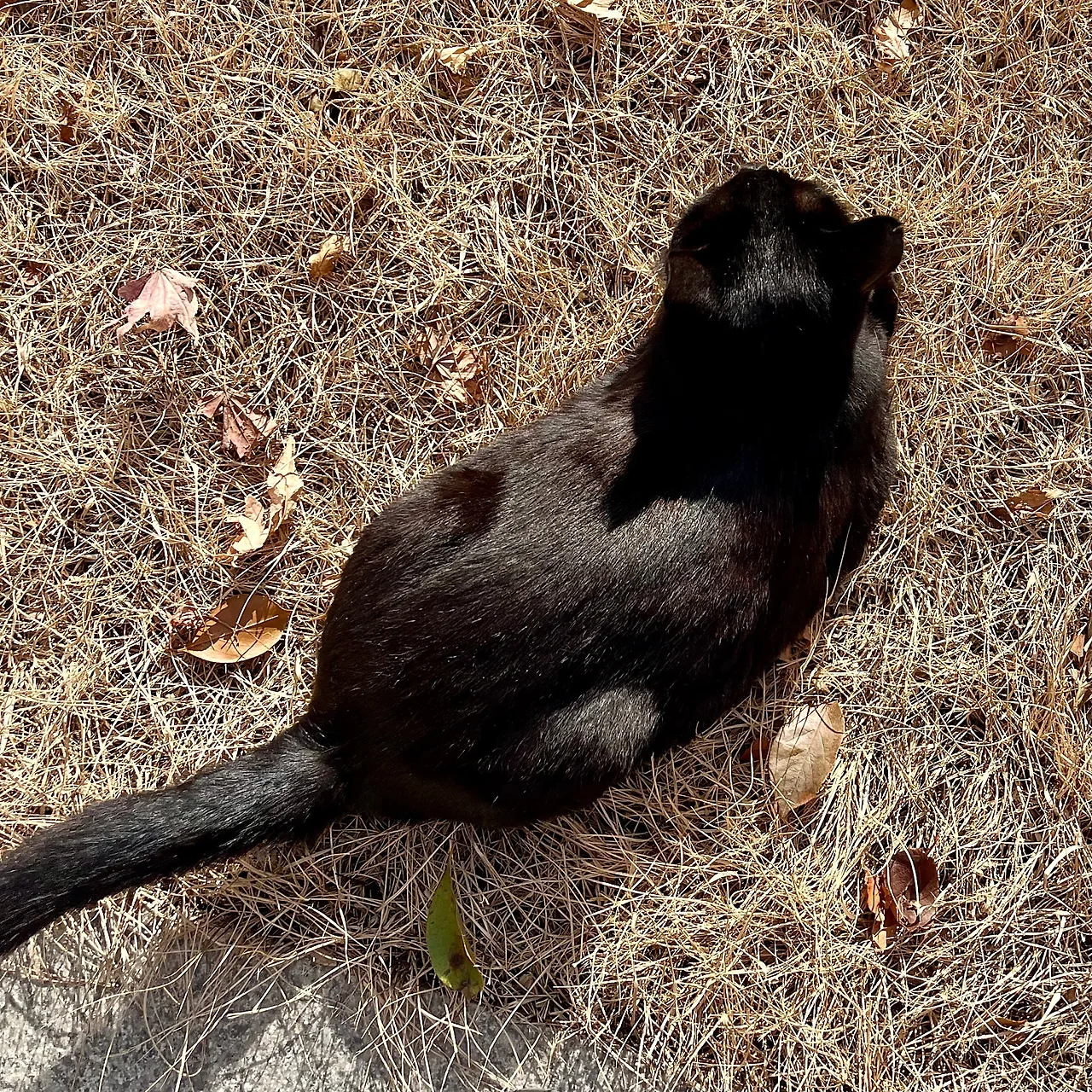 IMG%EF%BC%BF9850.jpg?type=w1600