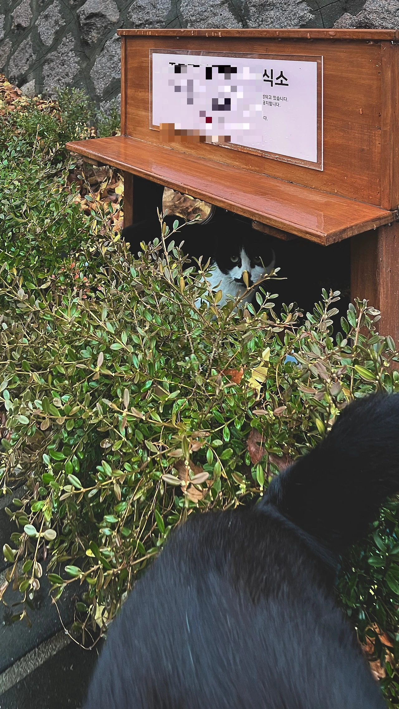 IMG%EF%BC%BF9343.jpg?type=w1600