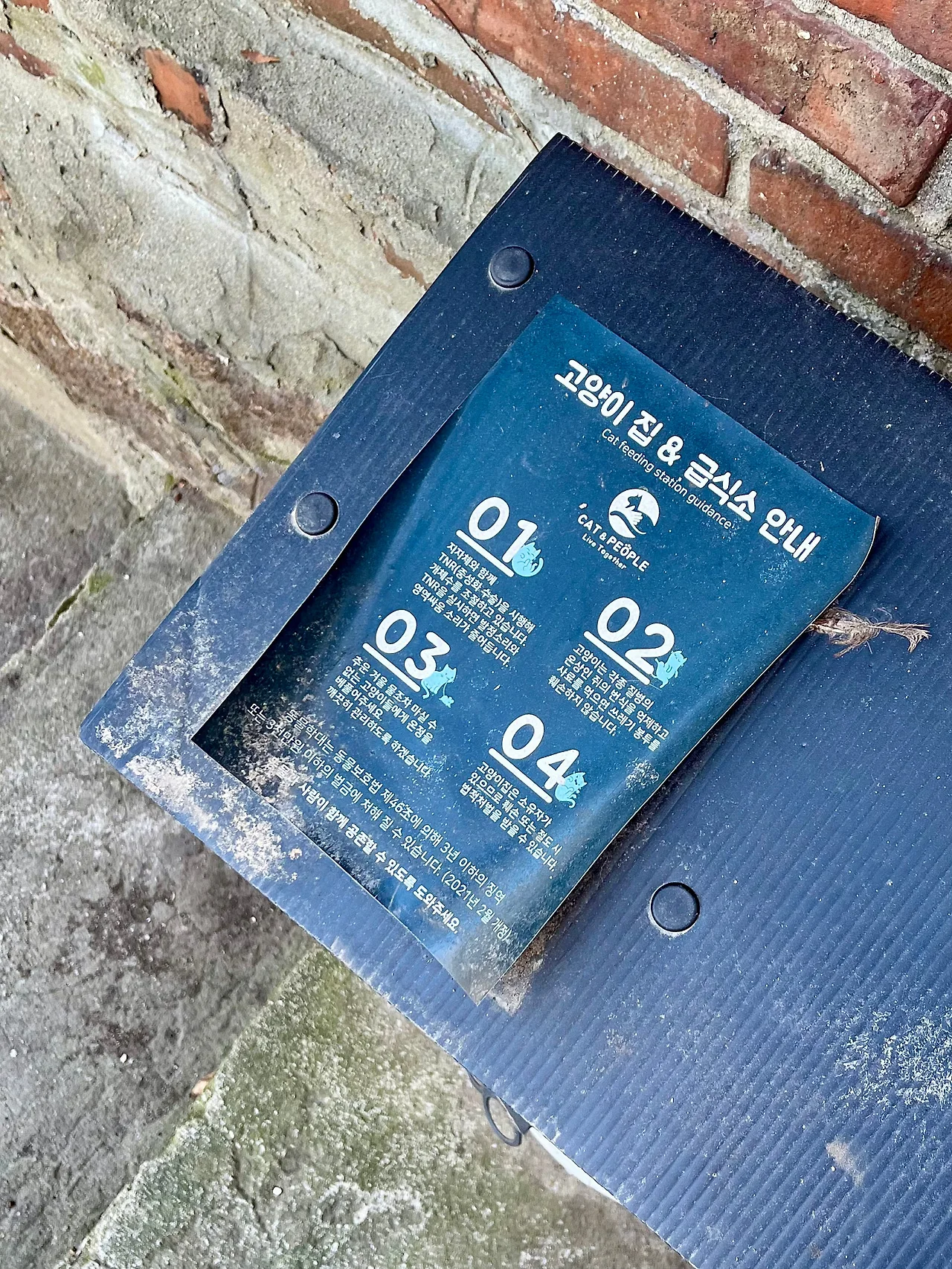 IMG%EF%BC%BF0785.jpg?type=w1600