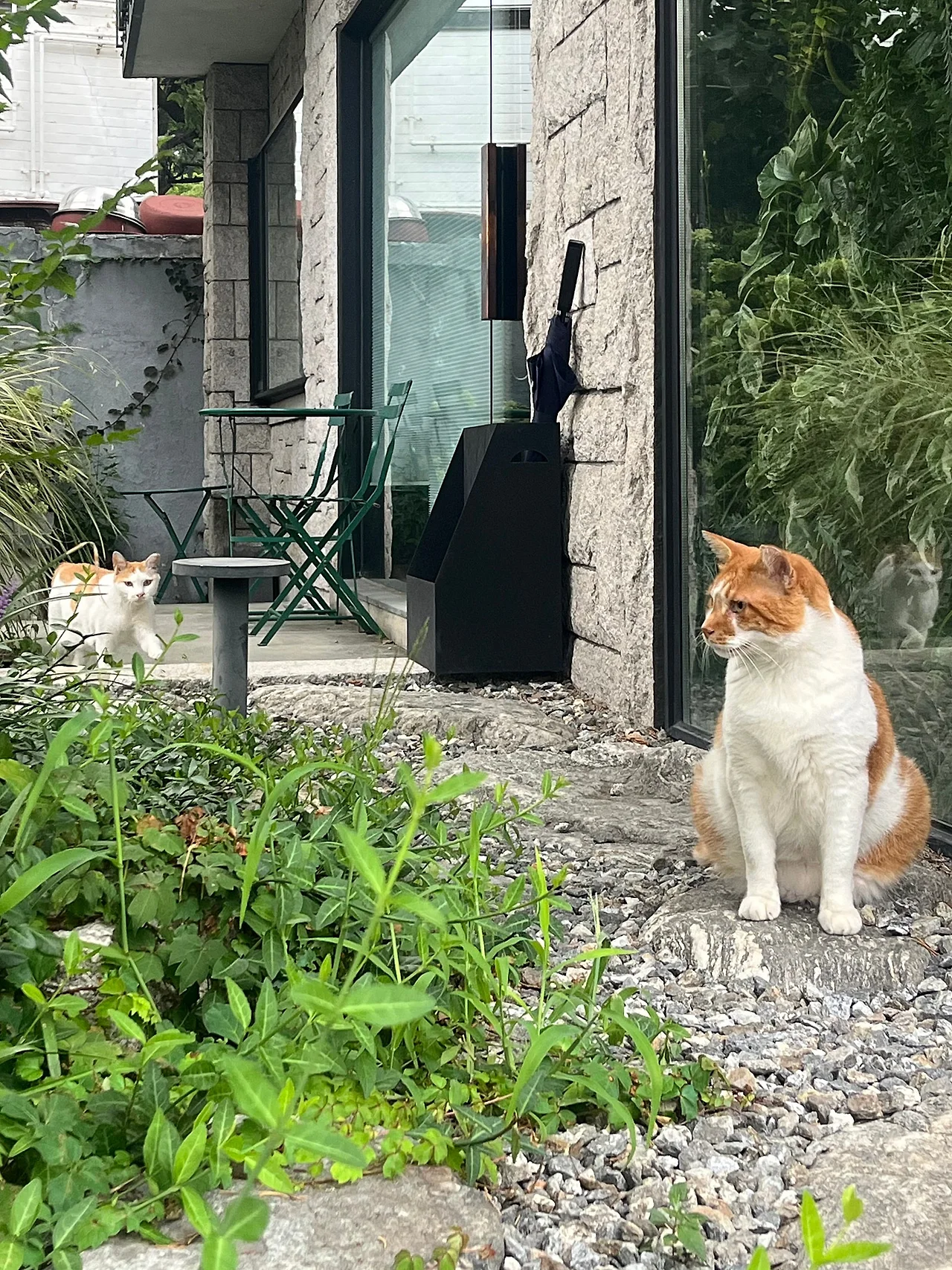 IMG%EF%BC%BF0670.jpg?type=w1600