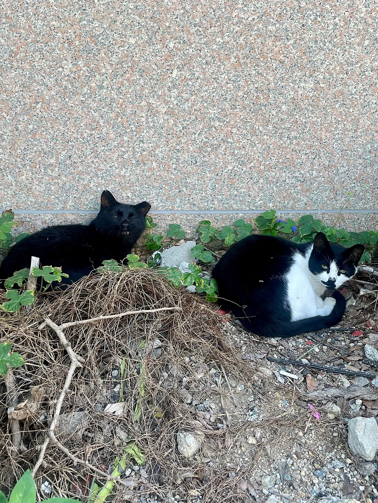 IMG%EF%BC%BF0924.jpg?type=w1600