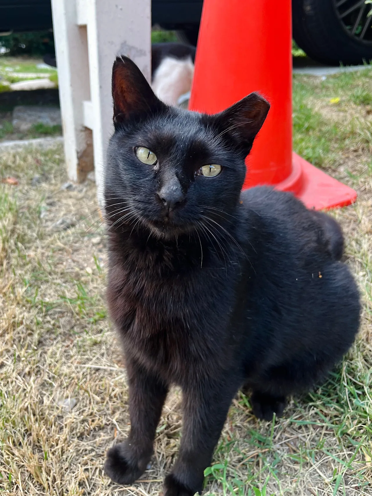 IMG%EF%BC%BF7654.jpg?type=w1600