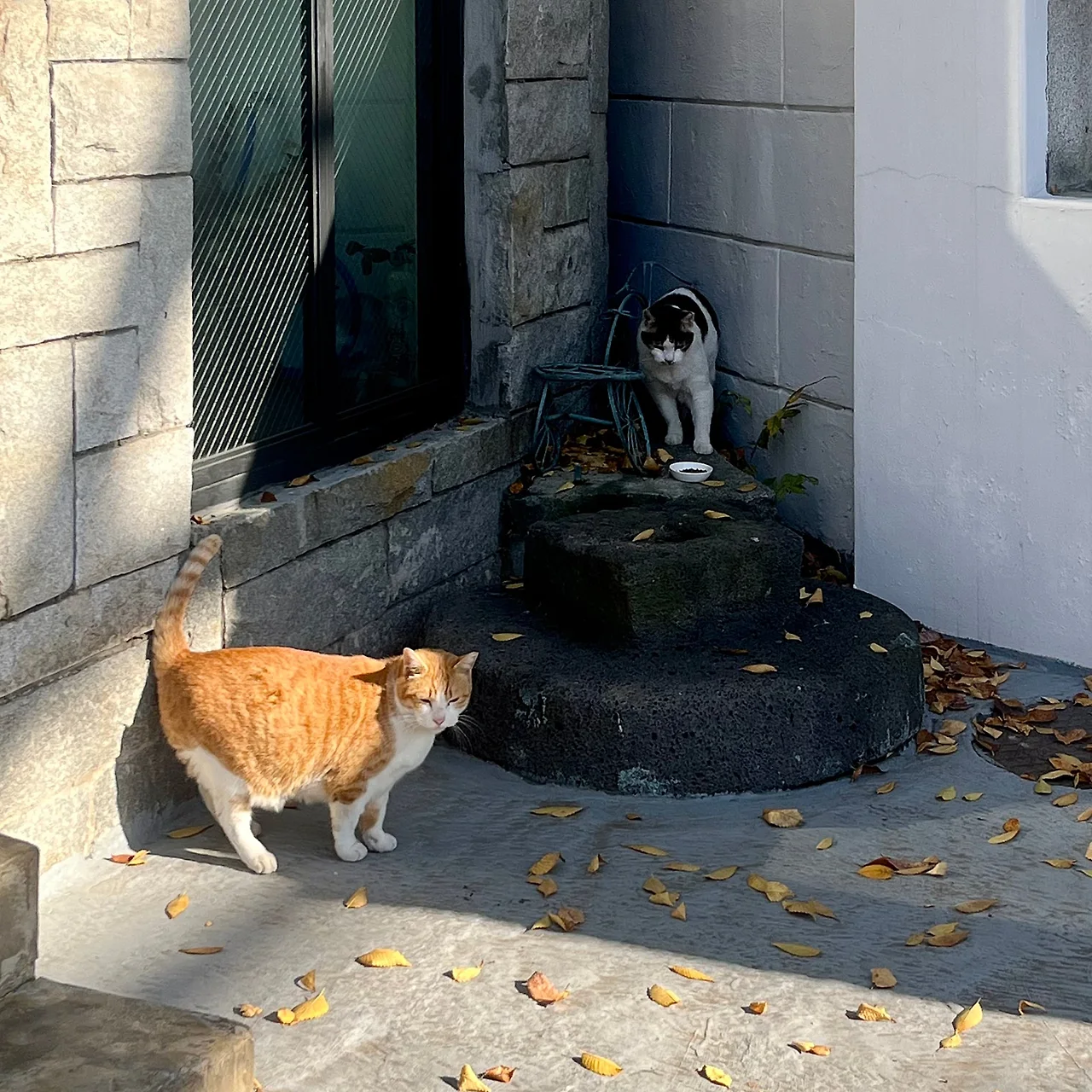 IMG%EF%BC%BF5266.jpg?type=w1600