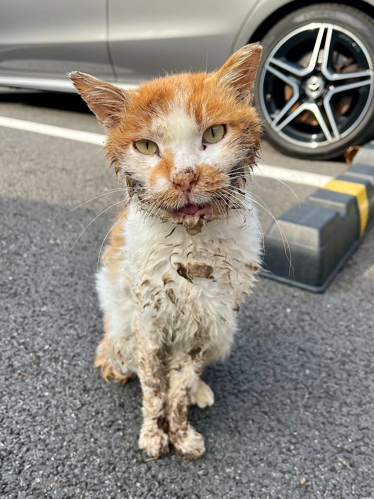 IMG%EF%BC%BF9195.jpg?type=w1600