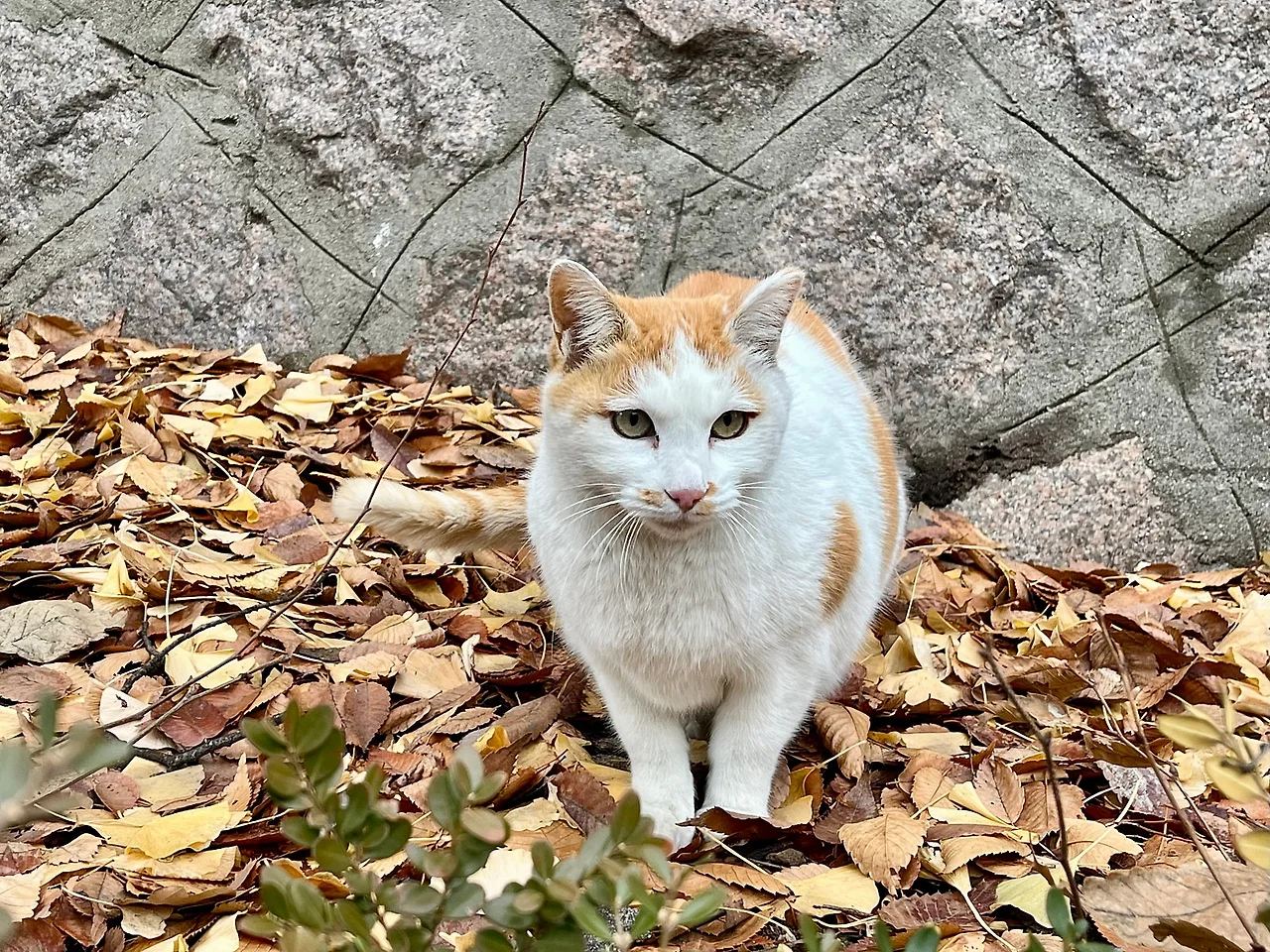 IMG%EF%BC%BF9286.jpg?type=w1600