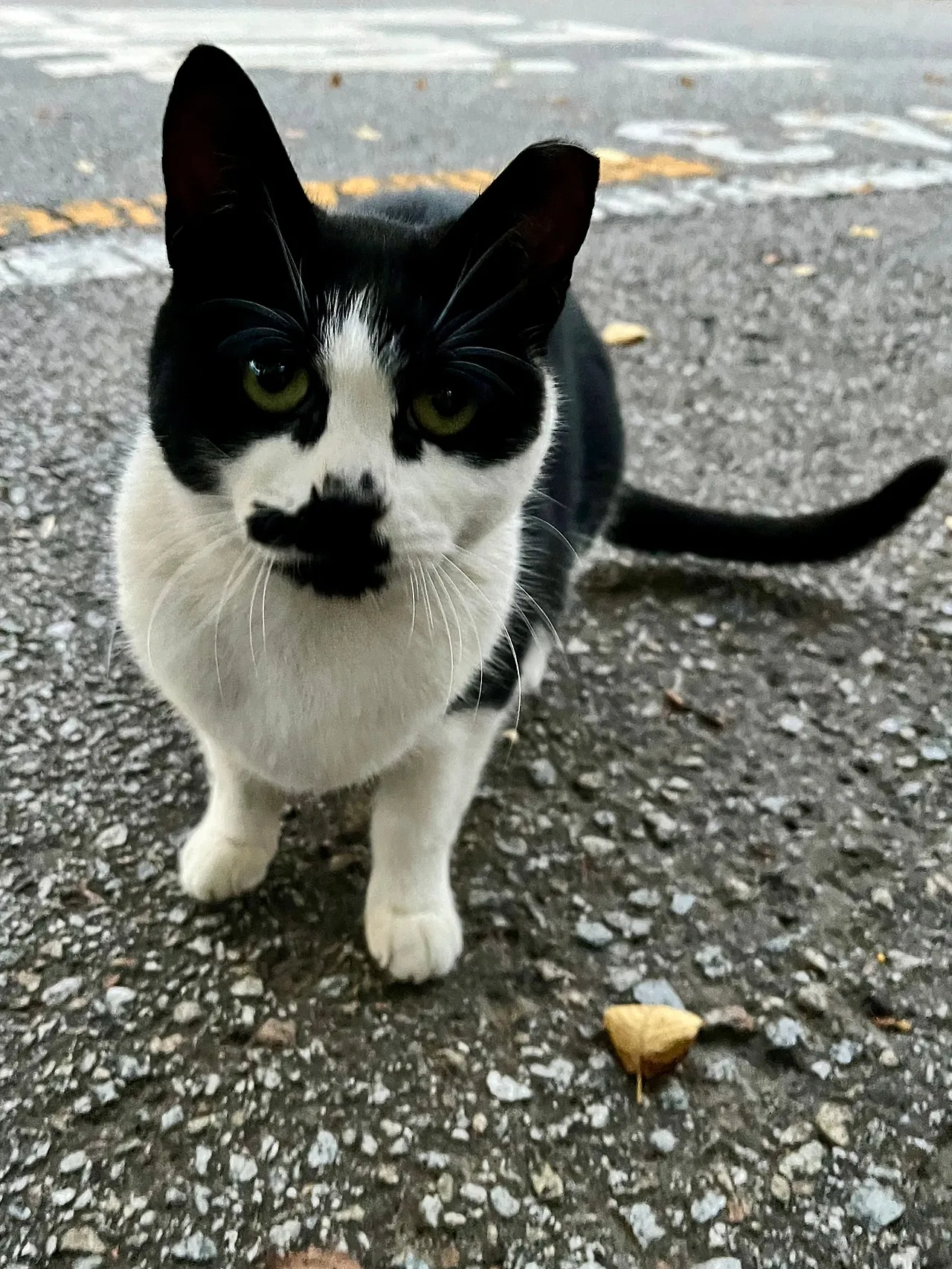 IMG%EF%BC%BF3521.jpg?type=w1600