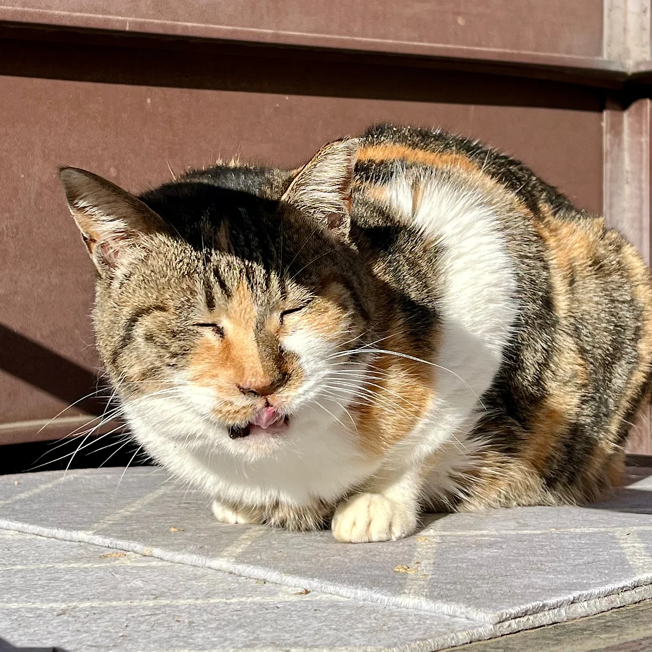 IMG%EF%BC%BF0003.jpg?type=w1600