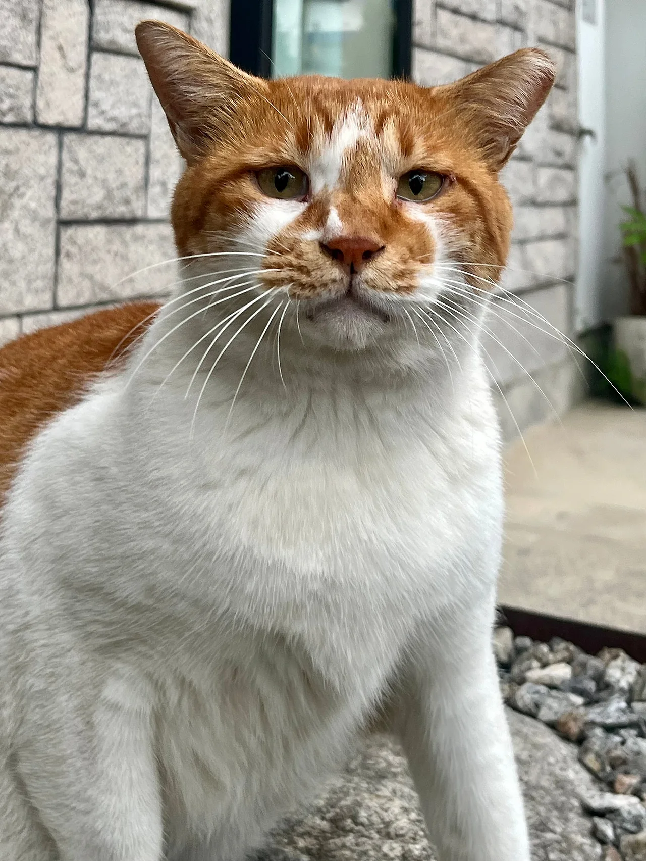 IMG%EF%BC%BF0706.jpg?type=w1600