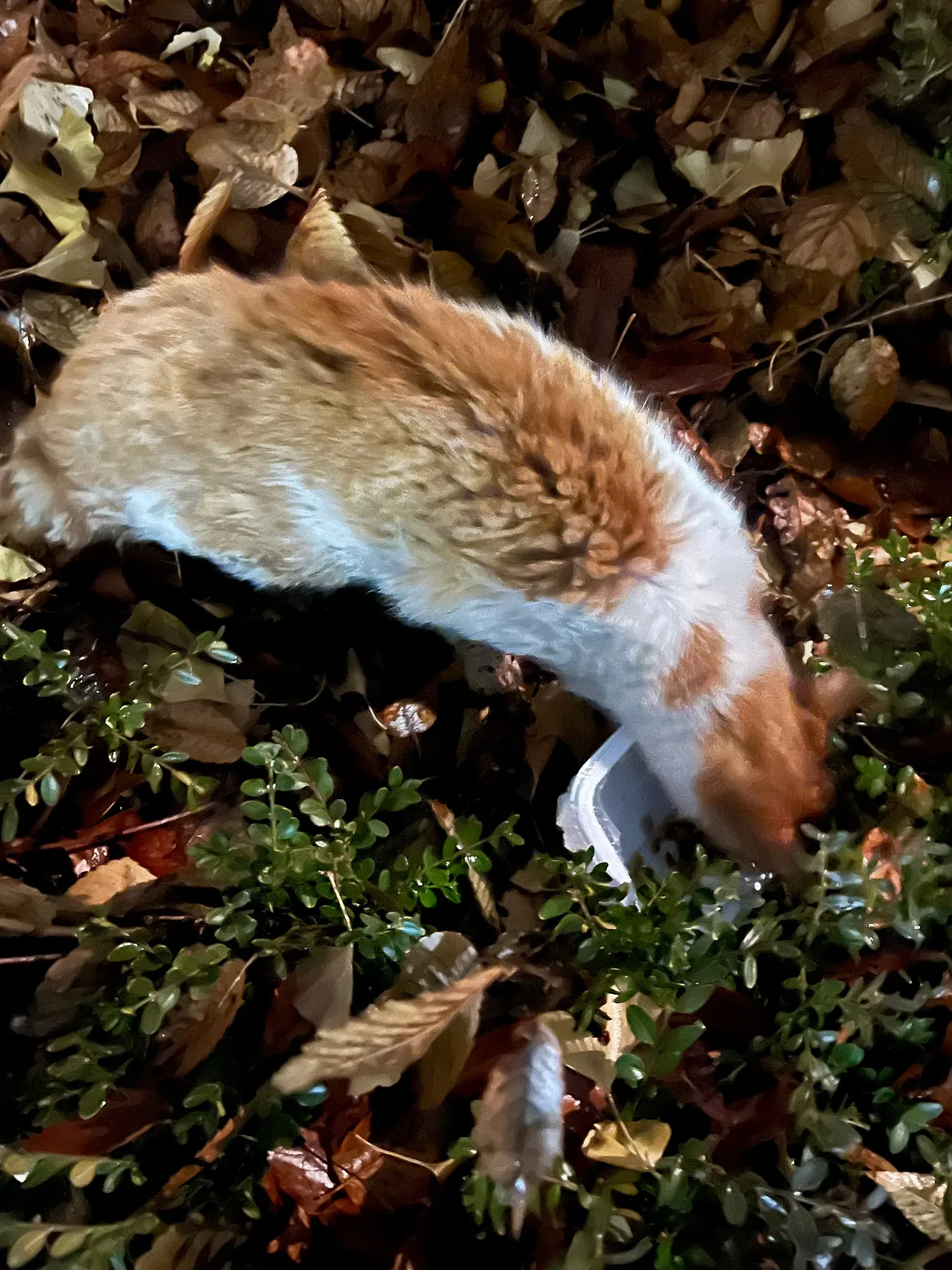 IMG%EF%BC%BF9368.jpg?type=w1600