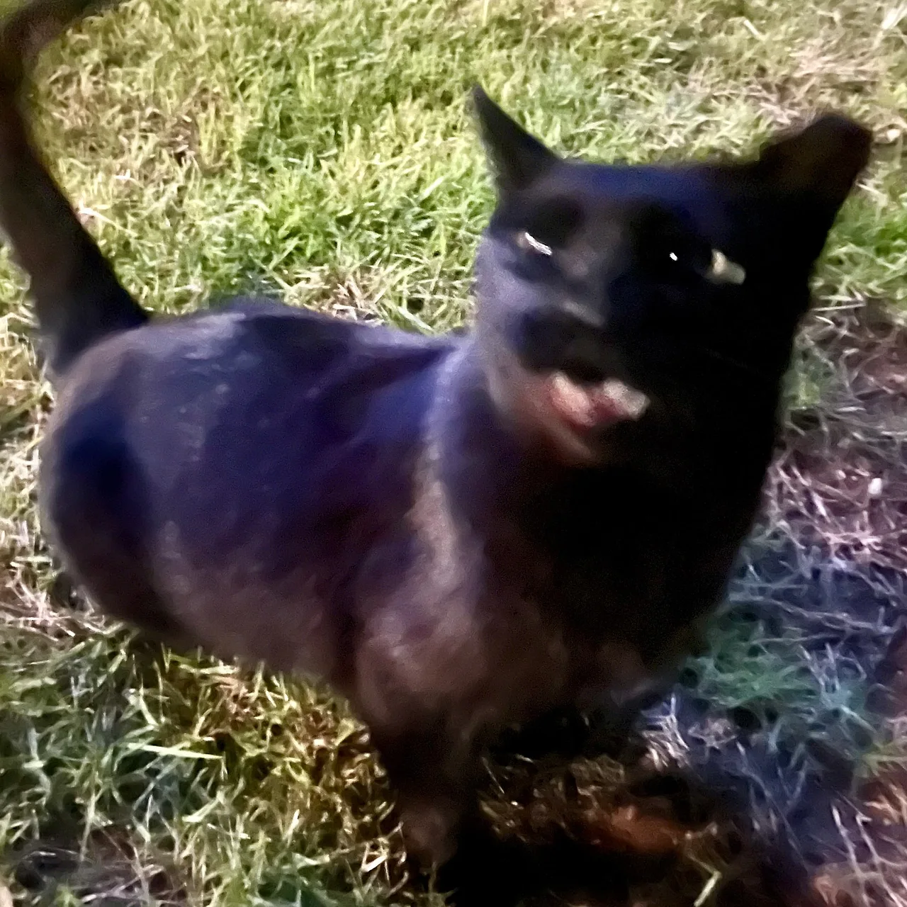 IMG%EF%BC%BF1737.jpg?type=w1600