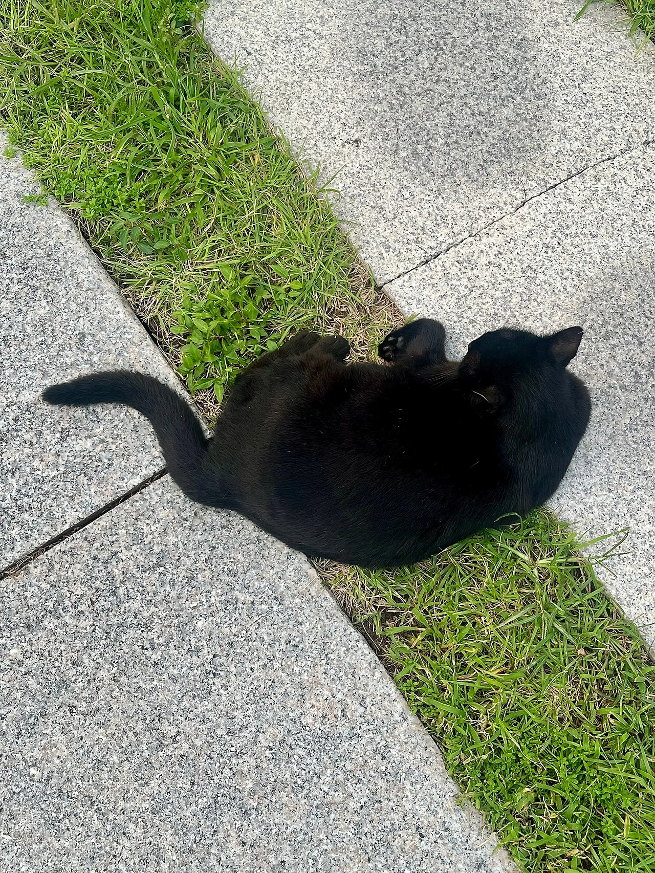 IMG%EF%BC%BF0961.jpg?type=w1600