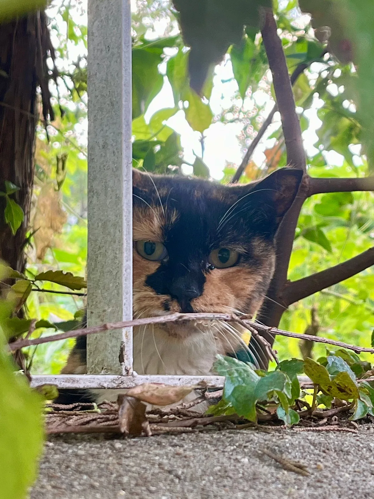 IMG%EF%BC%BF4268.jpg?type=w1600