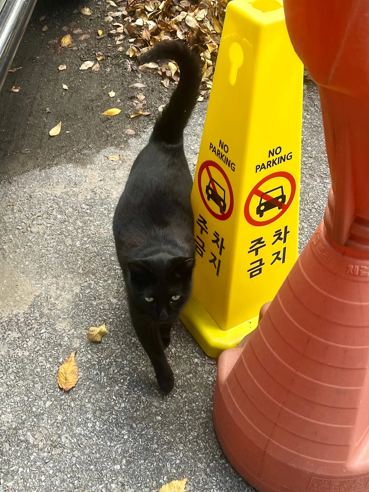 IMG%EF%BC%BF3330.jpg?type=w1600