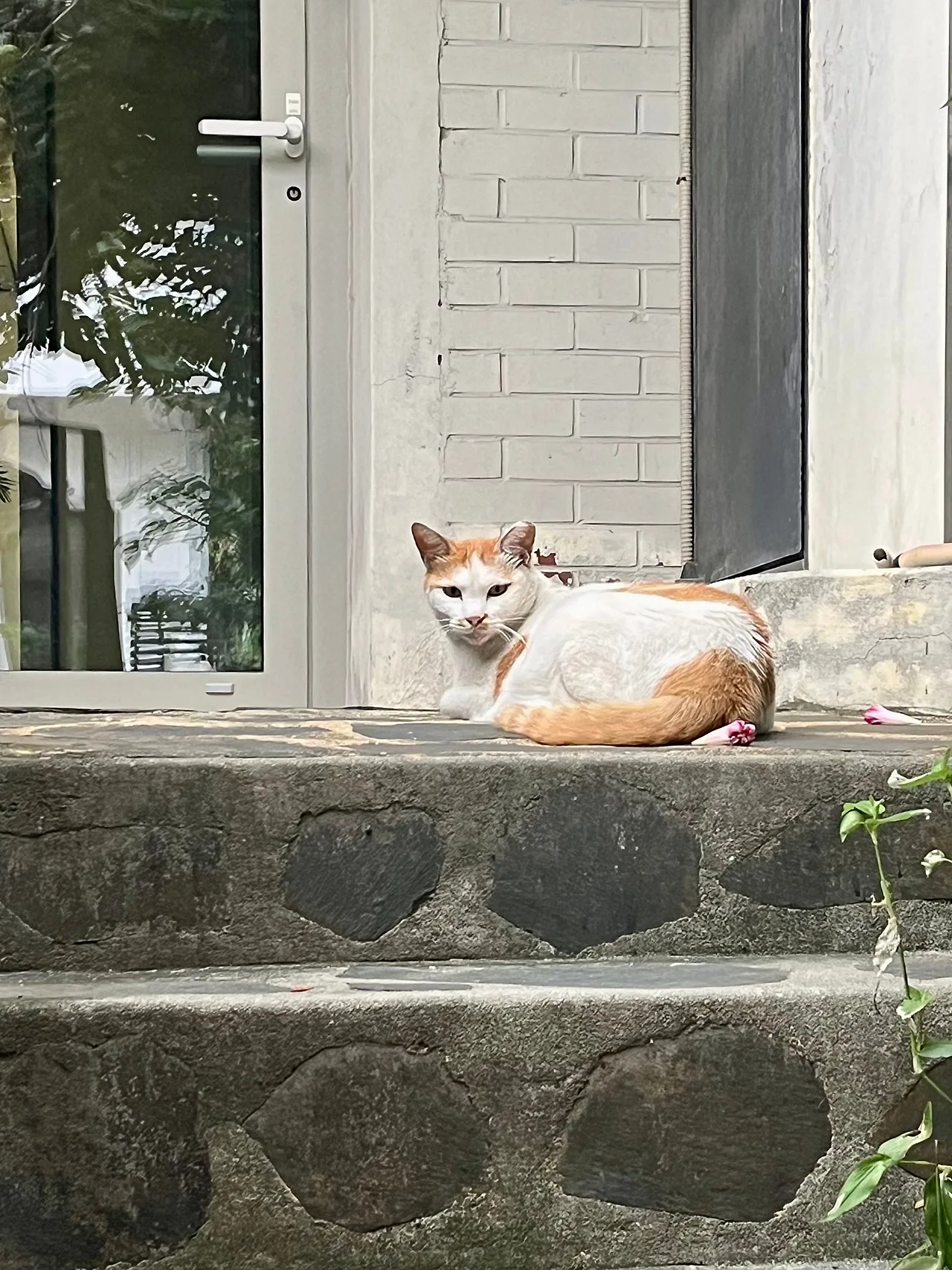 IMG%EF%BC%BF0721.jpg?type=w1600