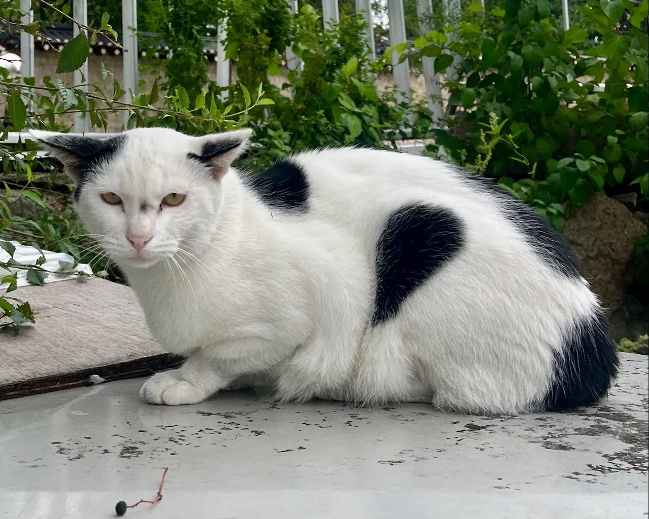 output%EF%BC%BF2809783190.jpg?type=w1600