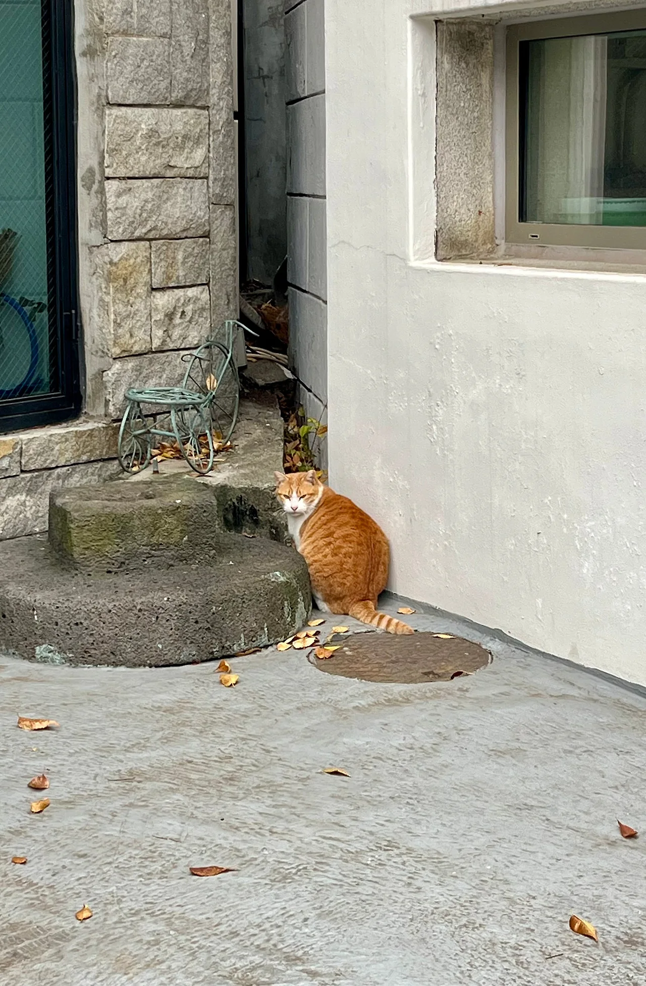 IMG%EF%BC%BF6981.jpg?type=w1600