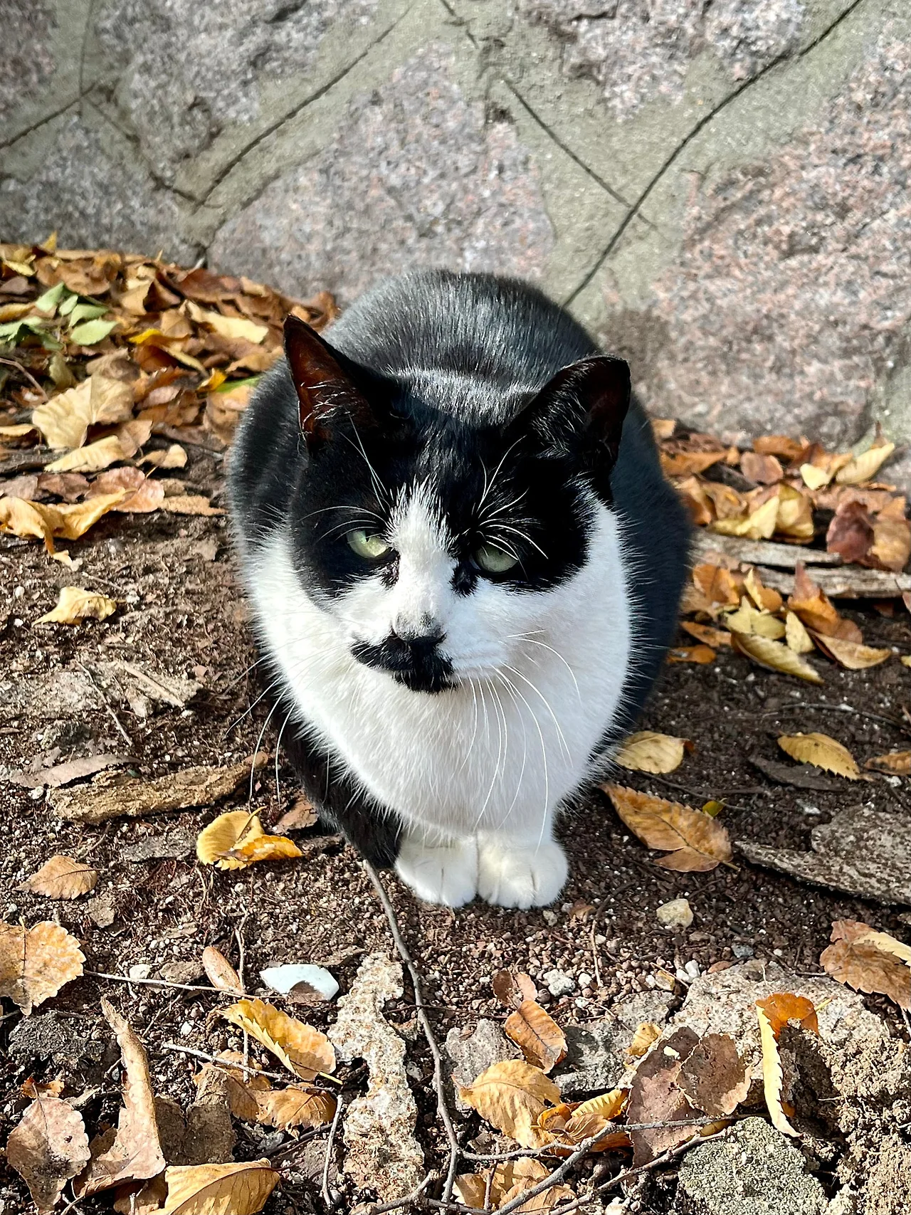 IMG%EF%BC%BF3581.jpg?type=w1600