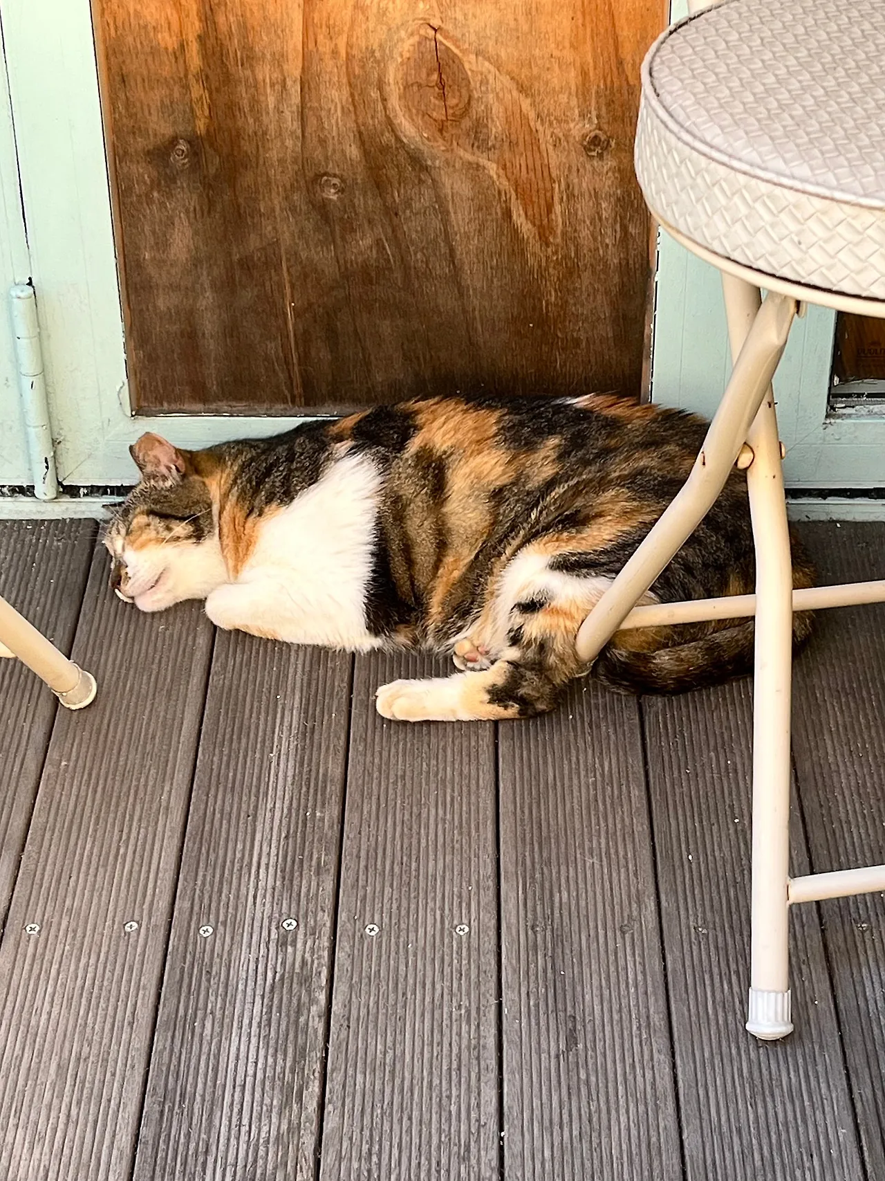 IMG%EF%BC%BF1206.jpg?type=w1600