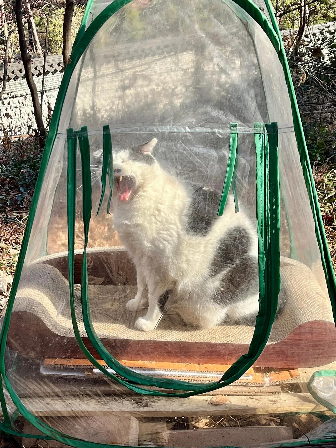 IMG%EF%BC%BF0983.jpg?type=w1600