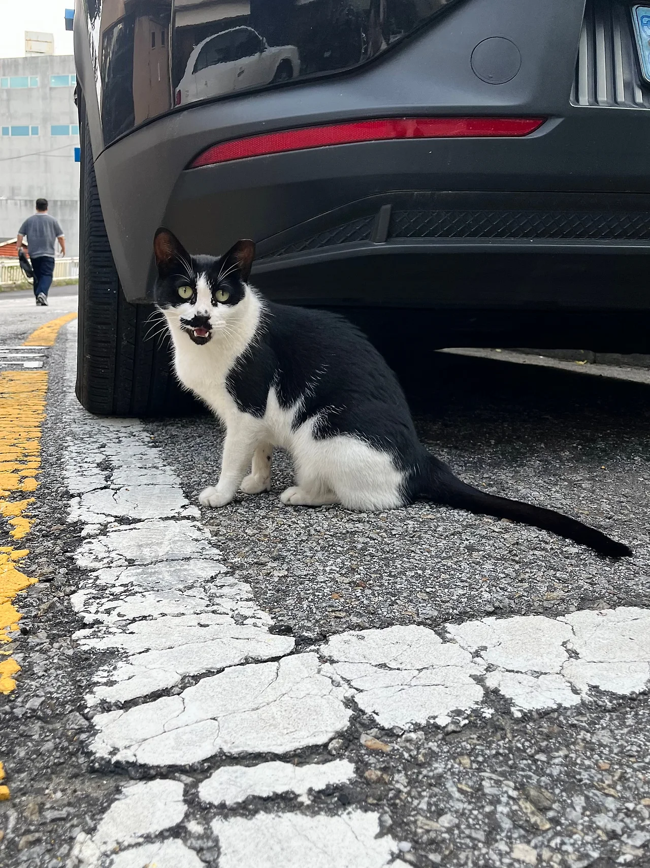 IMG%EF%BC%BF9961.jpg?type=w1600