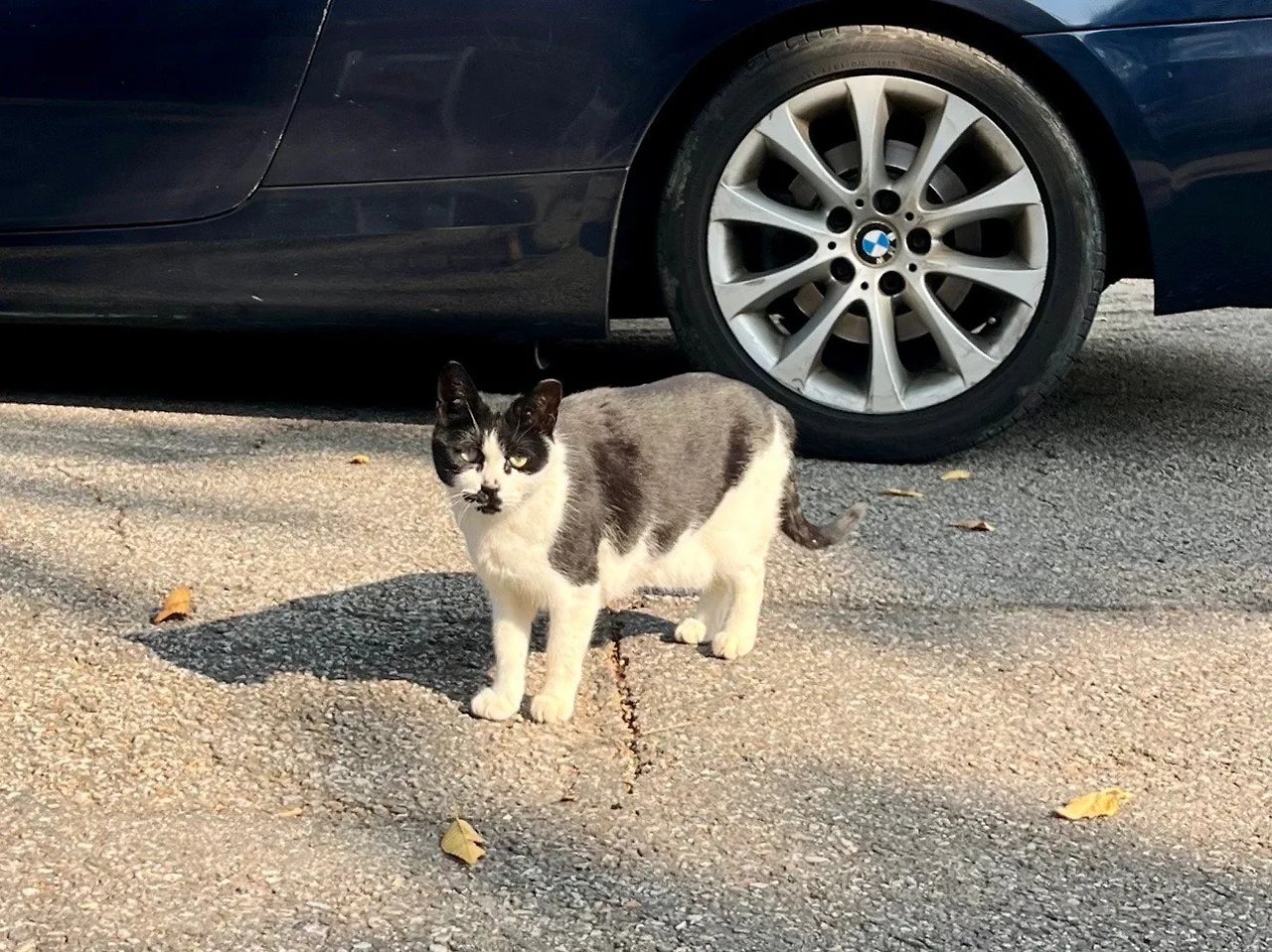 output%EF%BC%BF1370908063.jpg?type=w1600