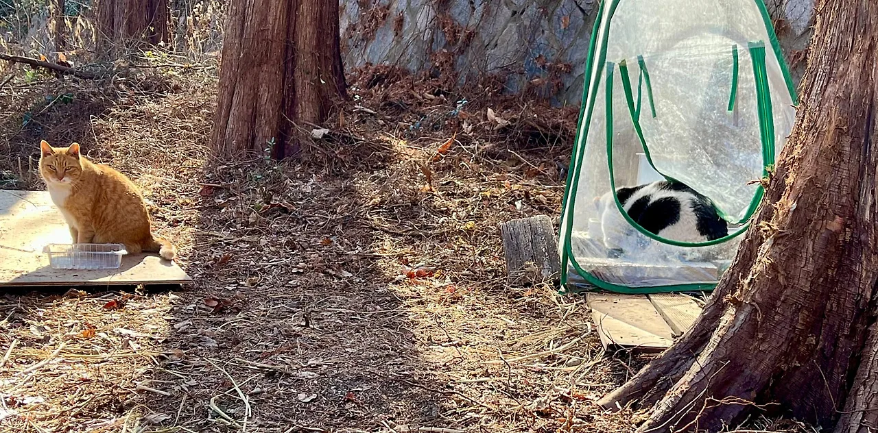 SE-2C8915E4-F5EF-4247-B914-12CACE9D6055.jpg?type=w1600