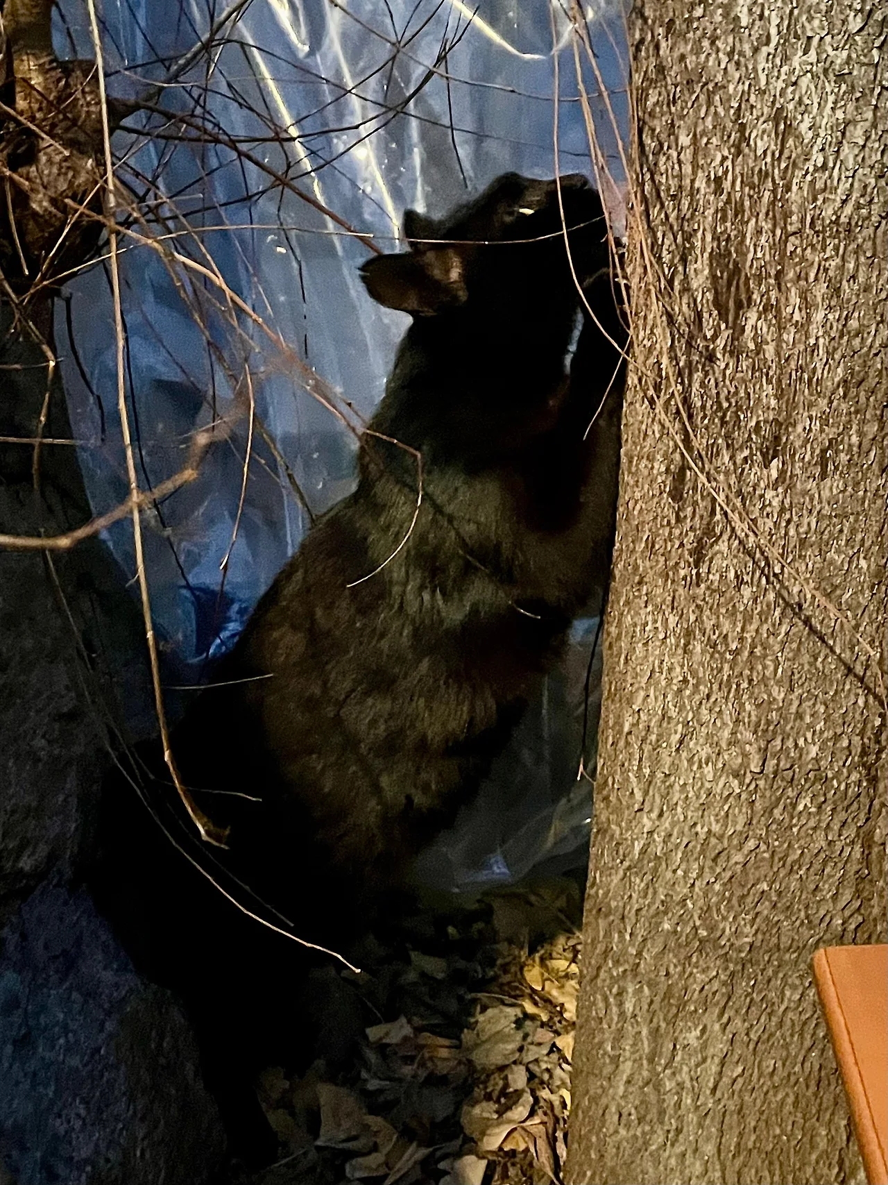 IMG%EF%BC%BF0097.jpg?type=w1600