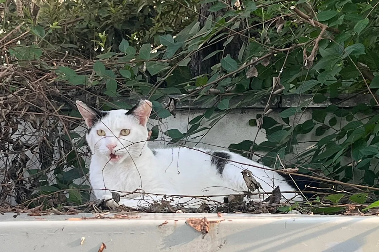 SE-b751e378-59e4-4ca8-9ef2-cc00d0f725df.jpg?type=w1600