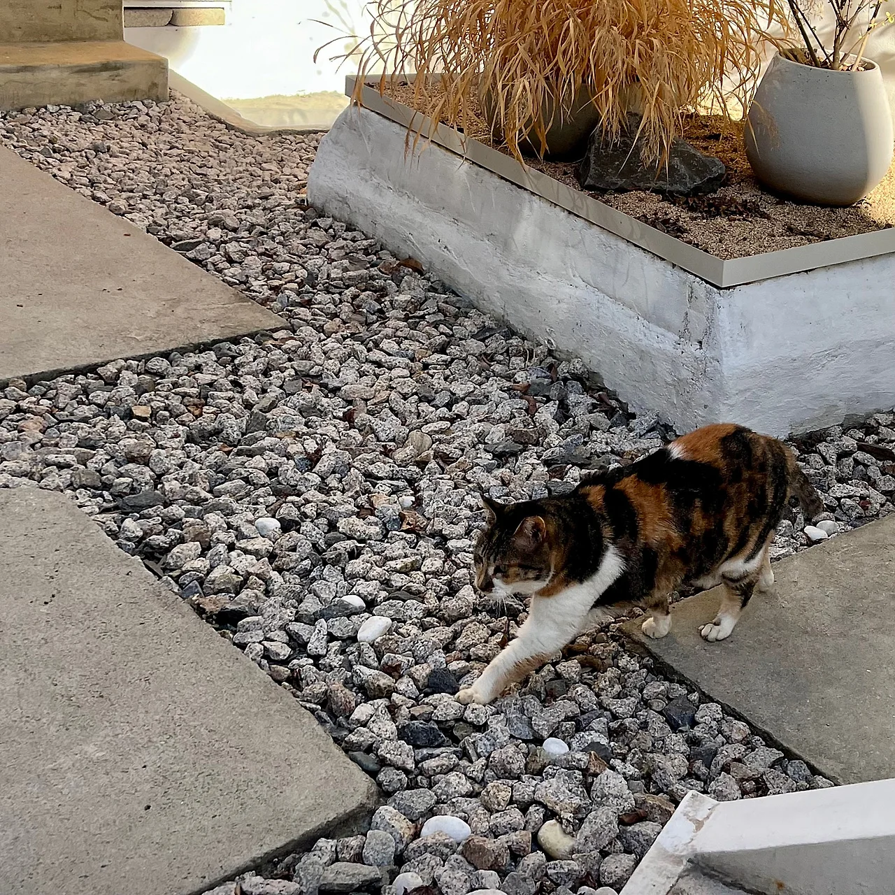 IMG%EF%BC%BF1127.jpg?type=w1600