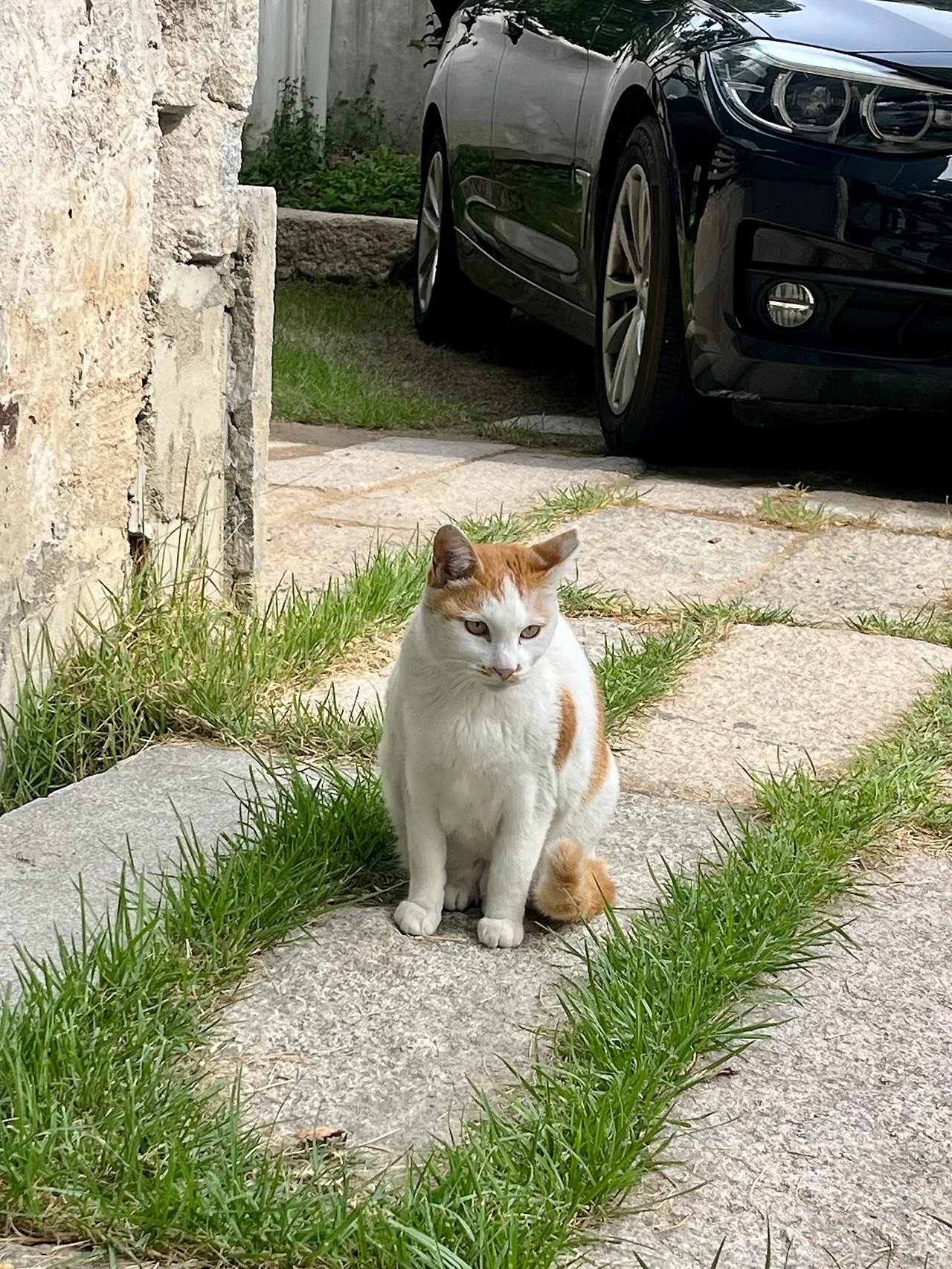 IMG%EF%BC%BF2808.jpg?type=w1600