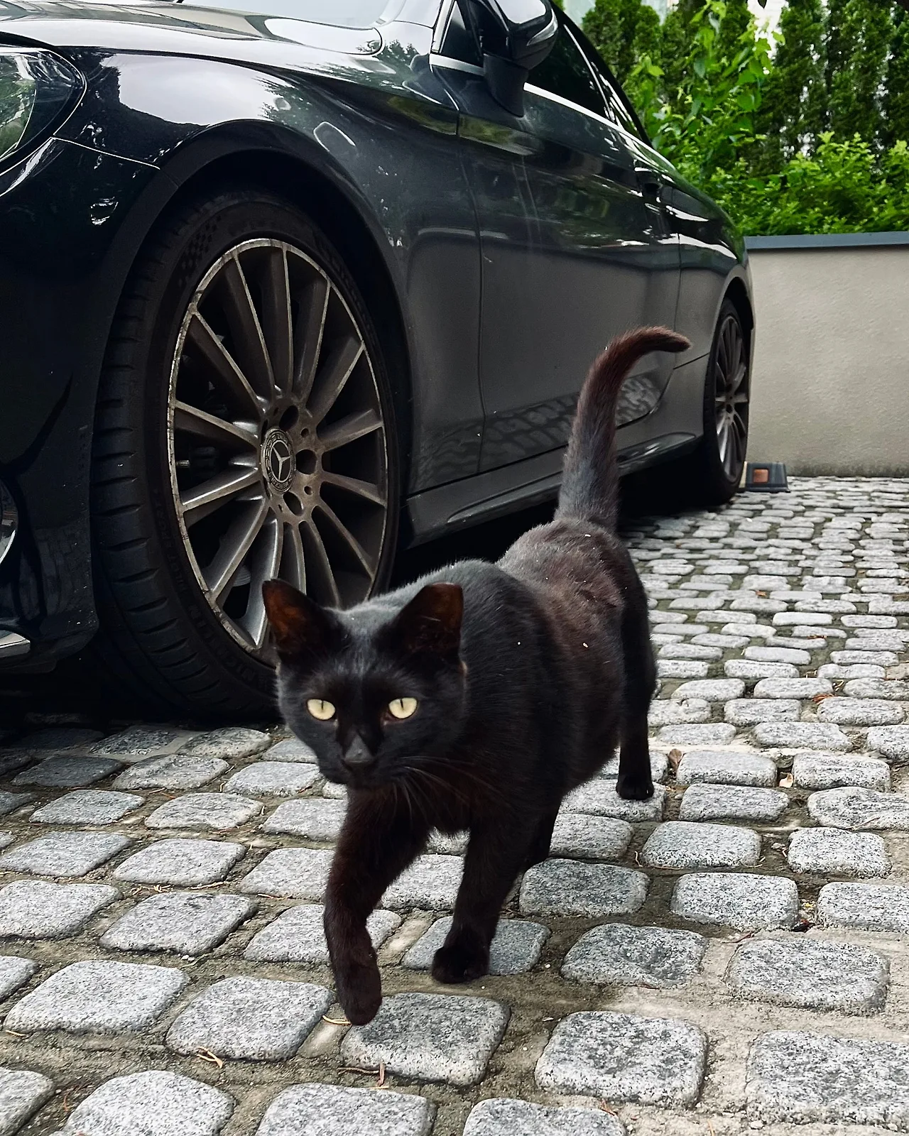 IMG%EF%BC%BF6855.jpg?type=w1600