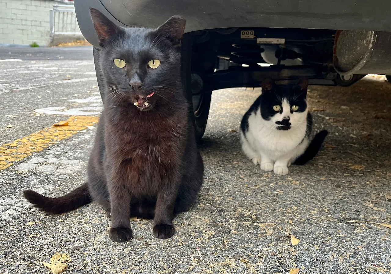 IMG%EF%BC%BF7009.jpg?type=w1600