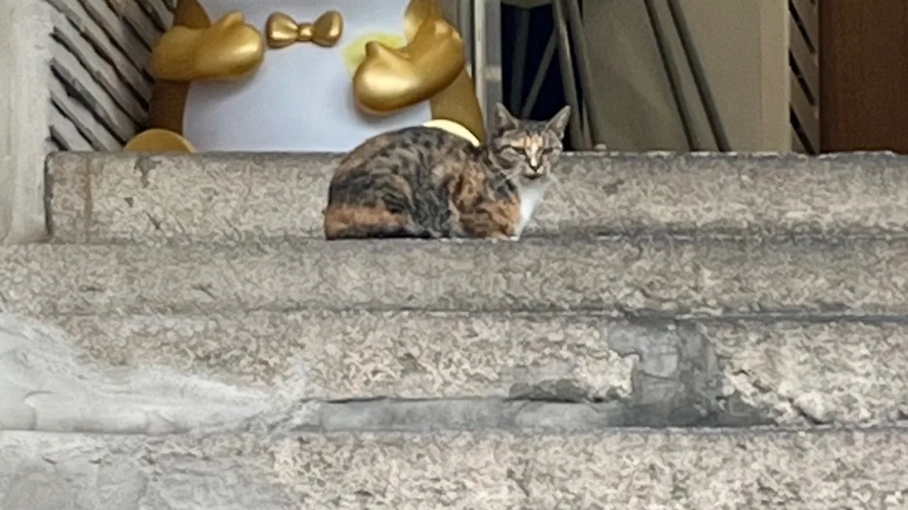 output%EF%BC%BF1012514432.jpg?type=w1600