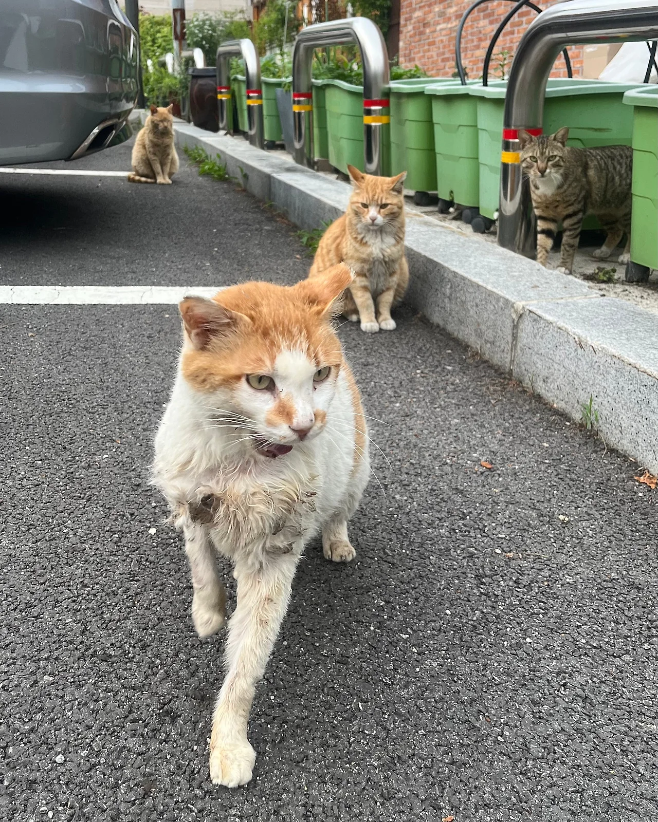 IMG%EF%BC%BF4242.jpg?type=w1600