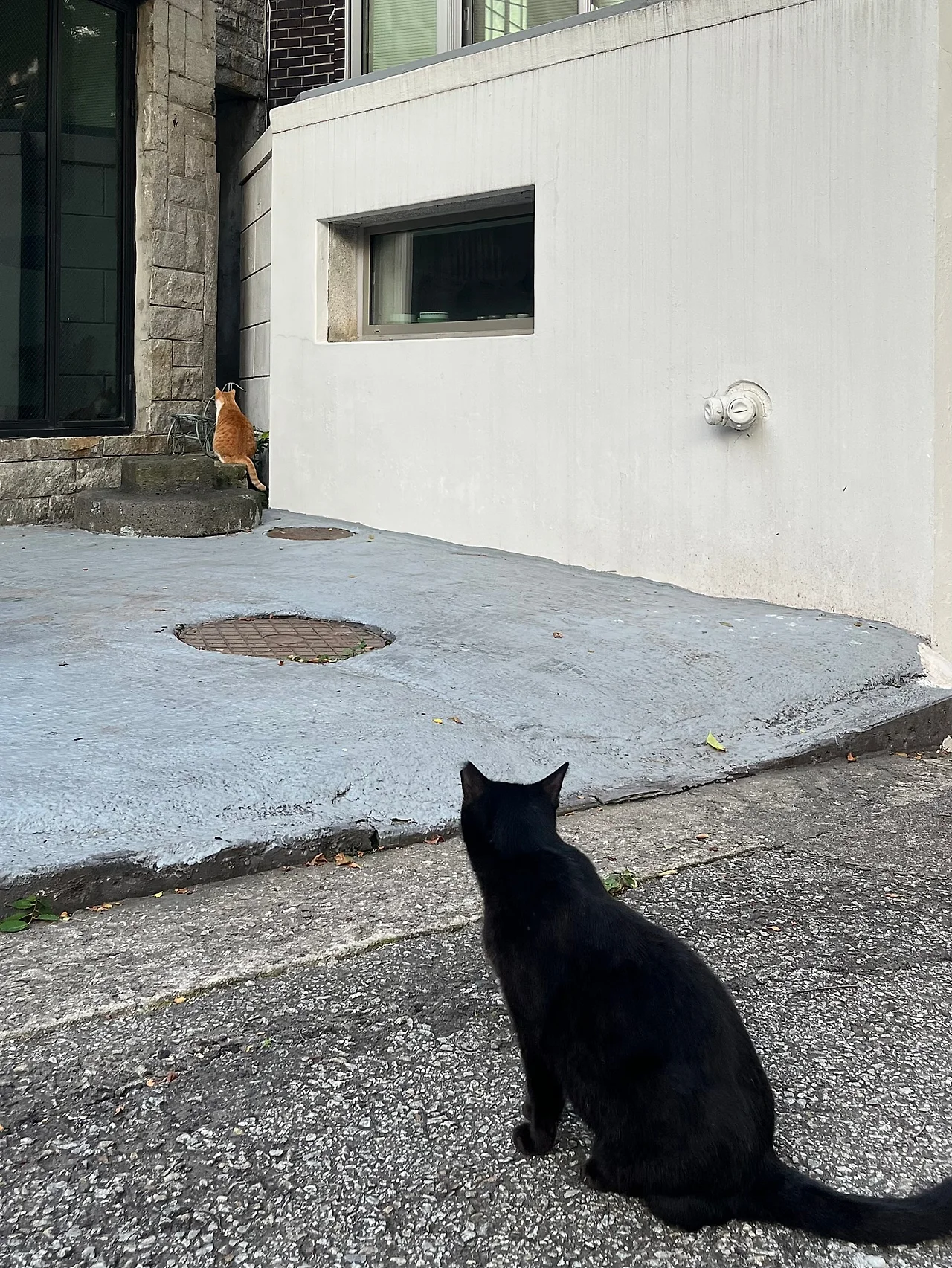 IMG%EF%BC%BF0564.jpg?type=w1600