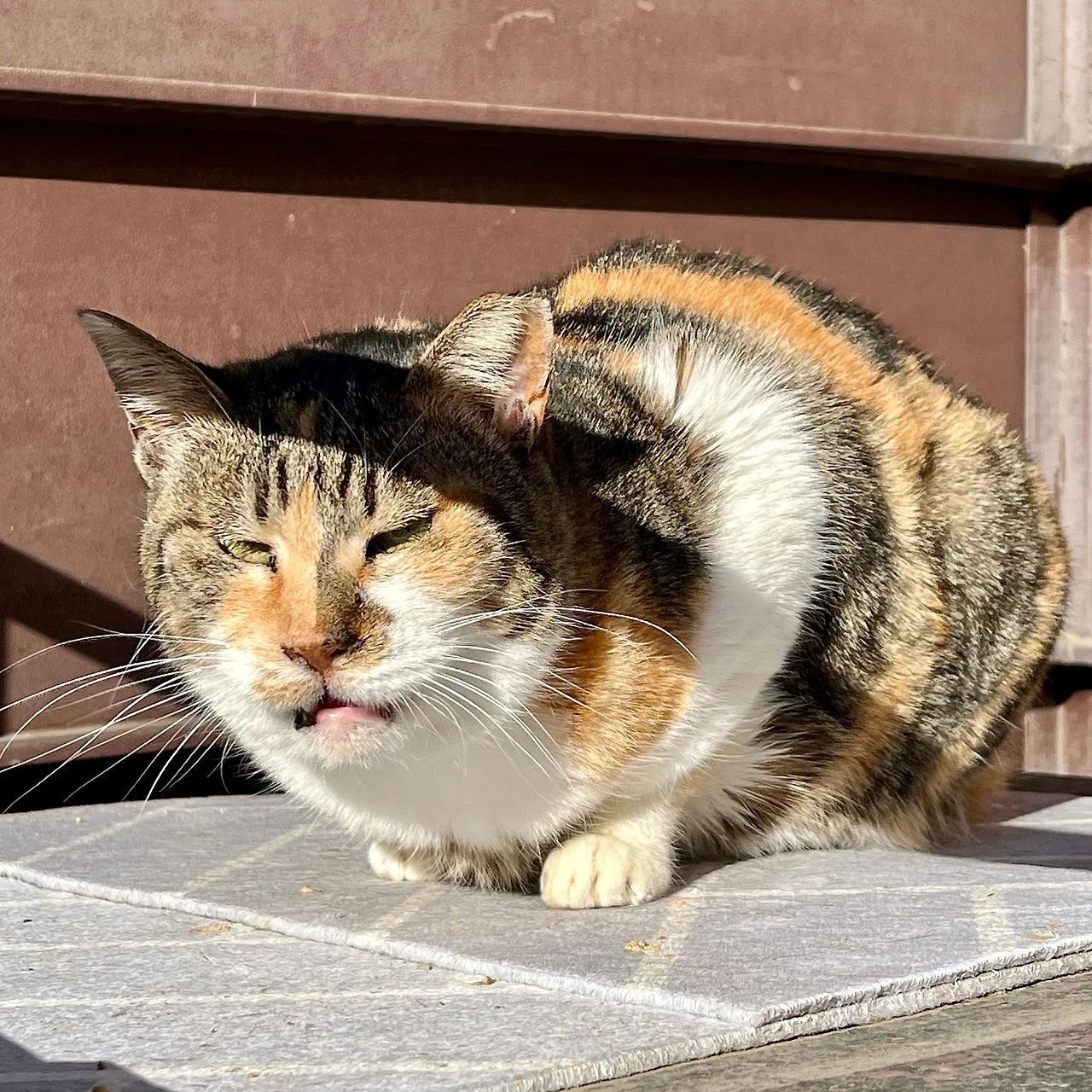 IMG%EF%BC%BF9997.jpg?type=w1600