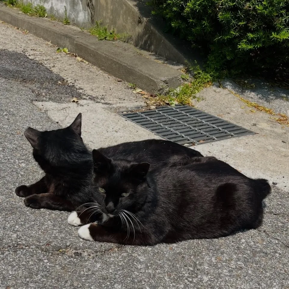 SE-6C9958E4-917B-4B51-AF68-CEC453AE382E.jpg?type=w1600