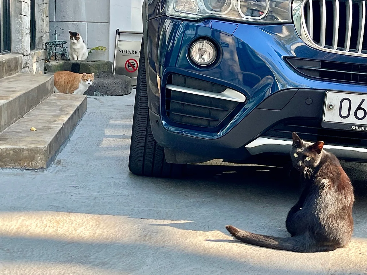 IMG%EF%BC%BF4197.jpg?type=w1600