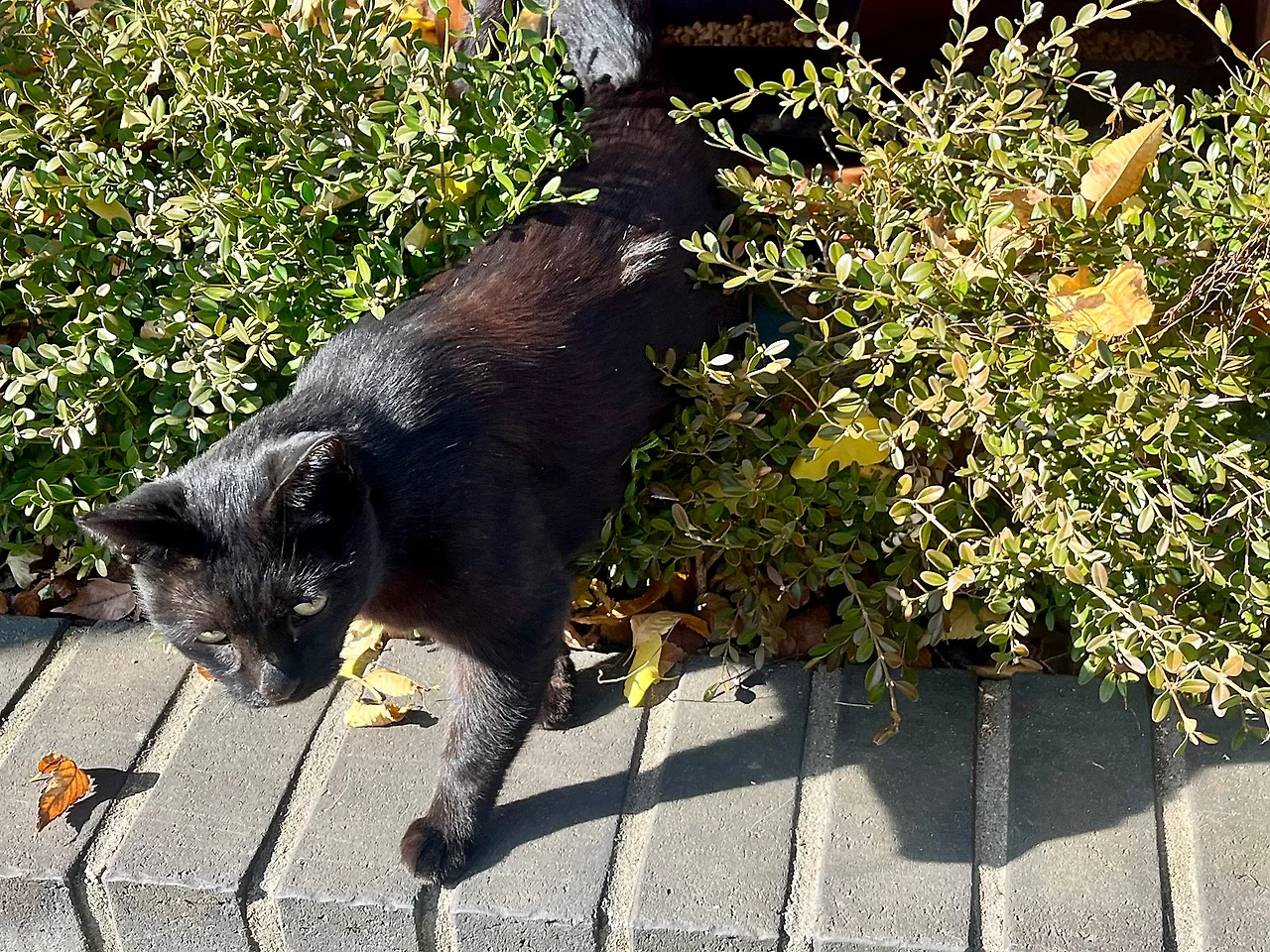 IMG%EF%BC%BF4950.jpg?type=w1600