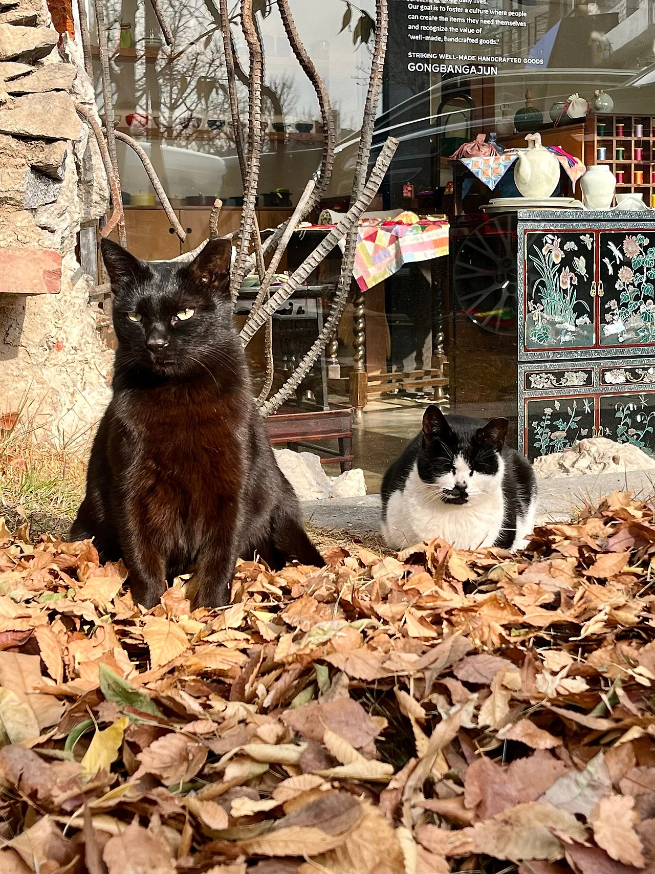 IMG%EF%BC%BF9225.jpg?type=w1600