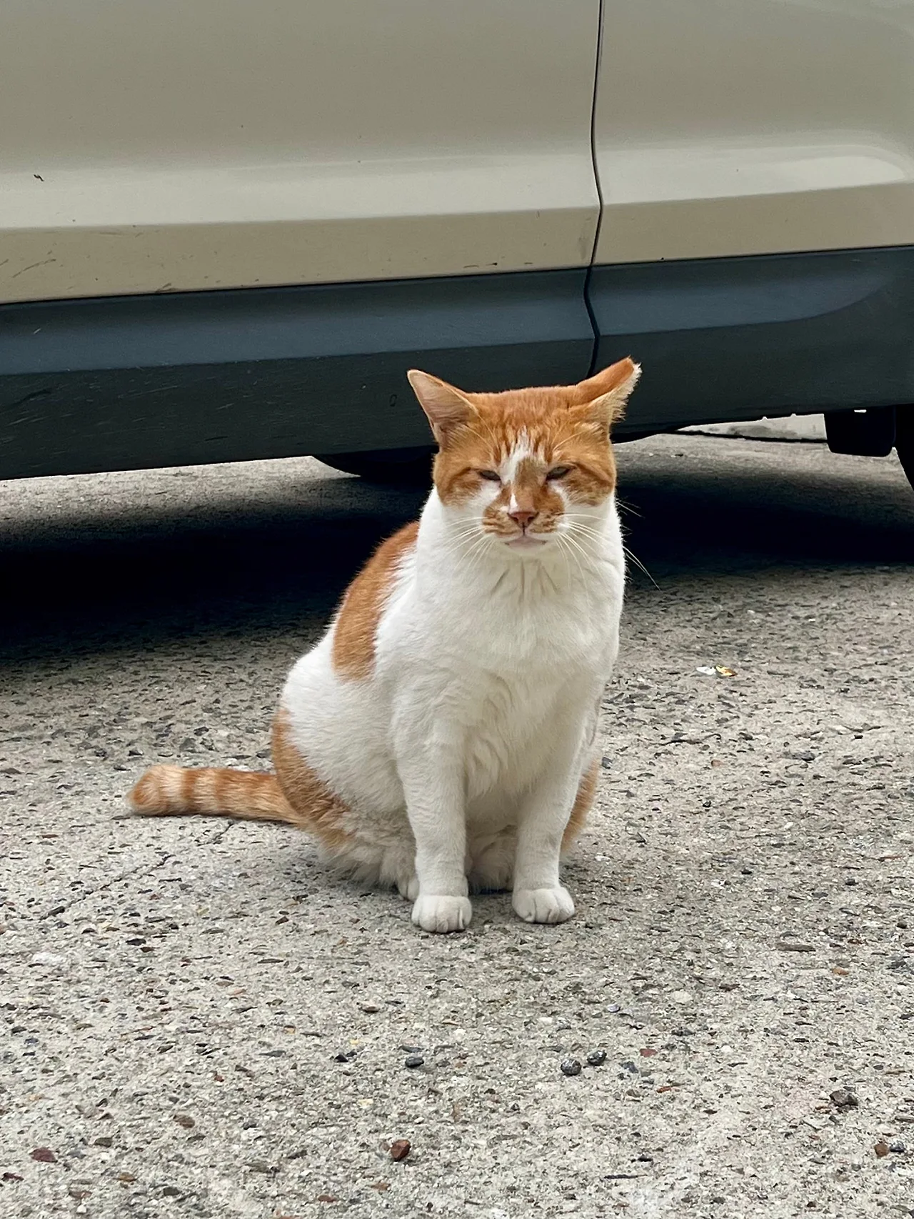 IMG%EF%BC%BF1613.jpg?type=w1600