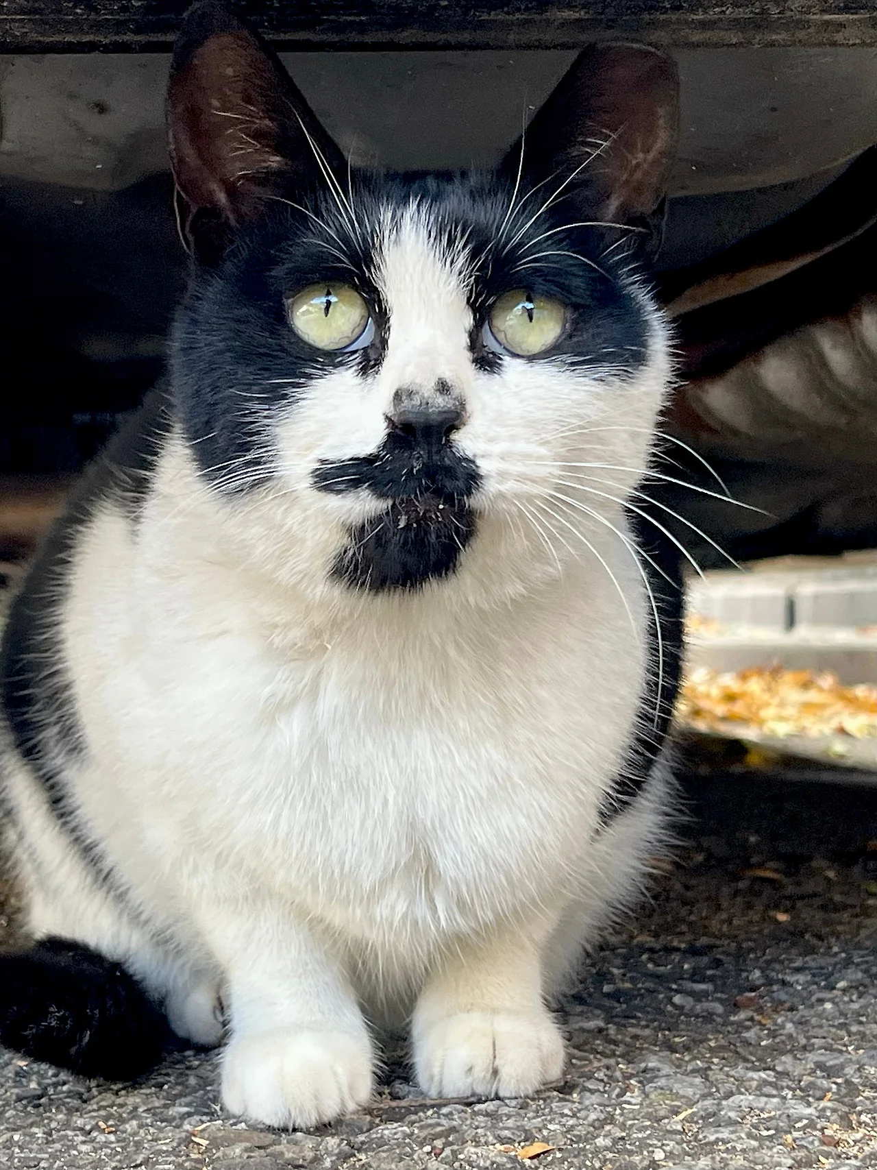 IMG%EF%BC%BF4189.jpg?type=w1600