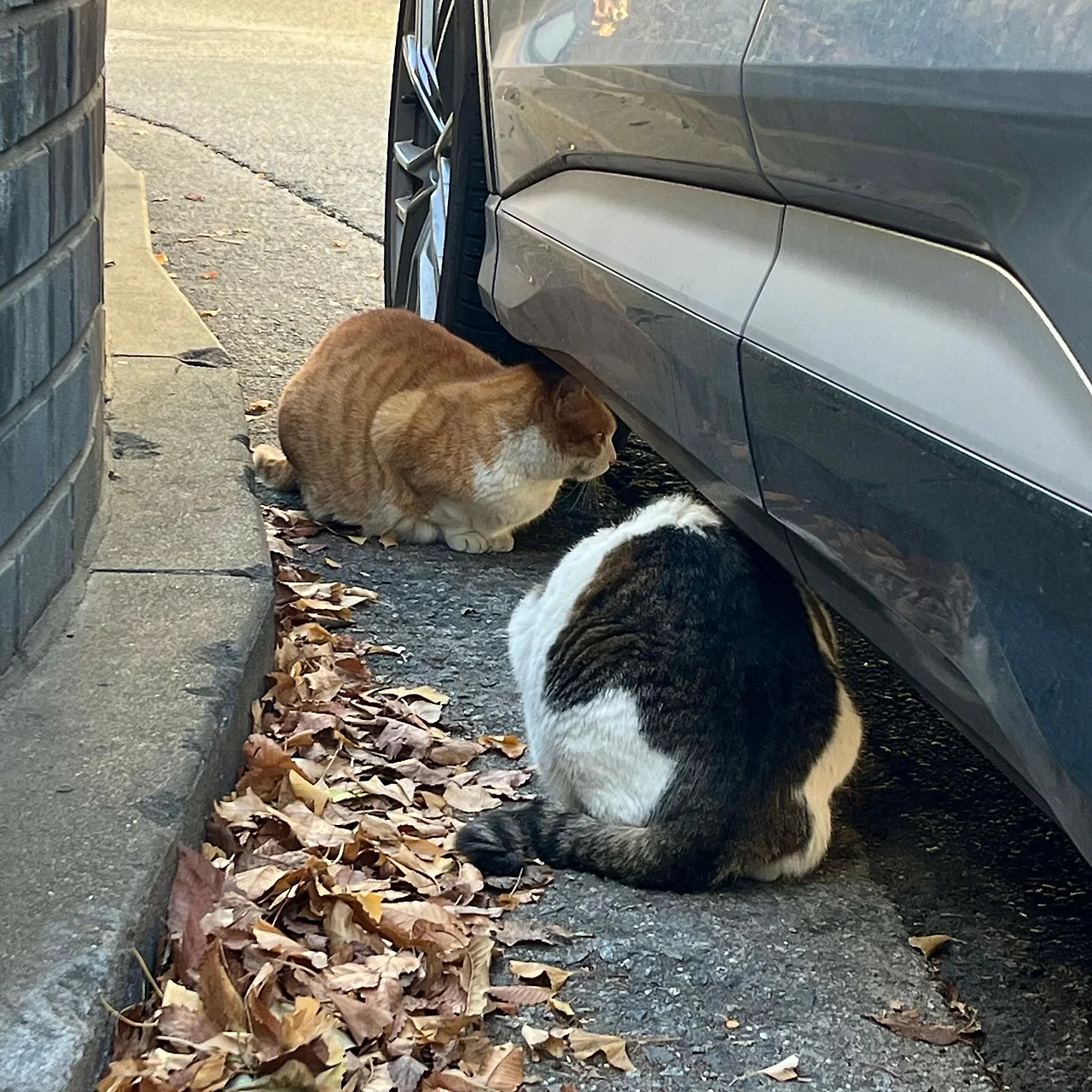 IMG%EF%BC%BF0059.jpg?type=w1600