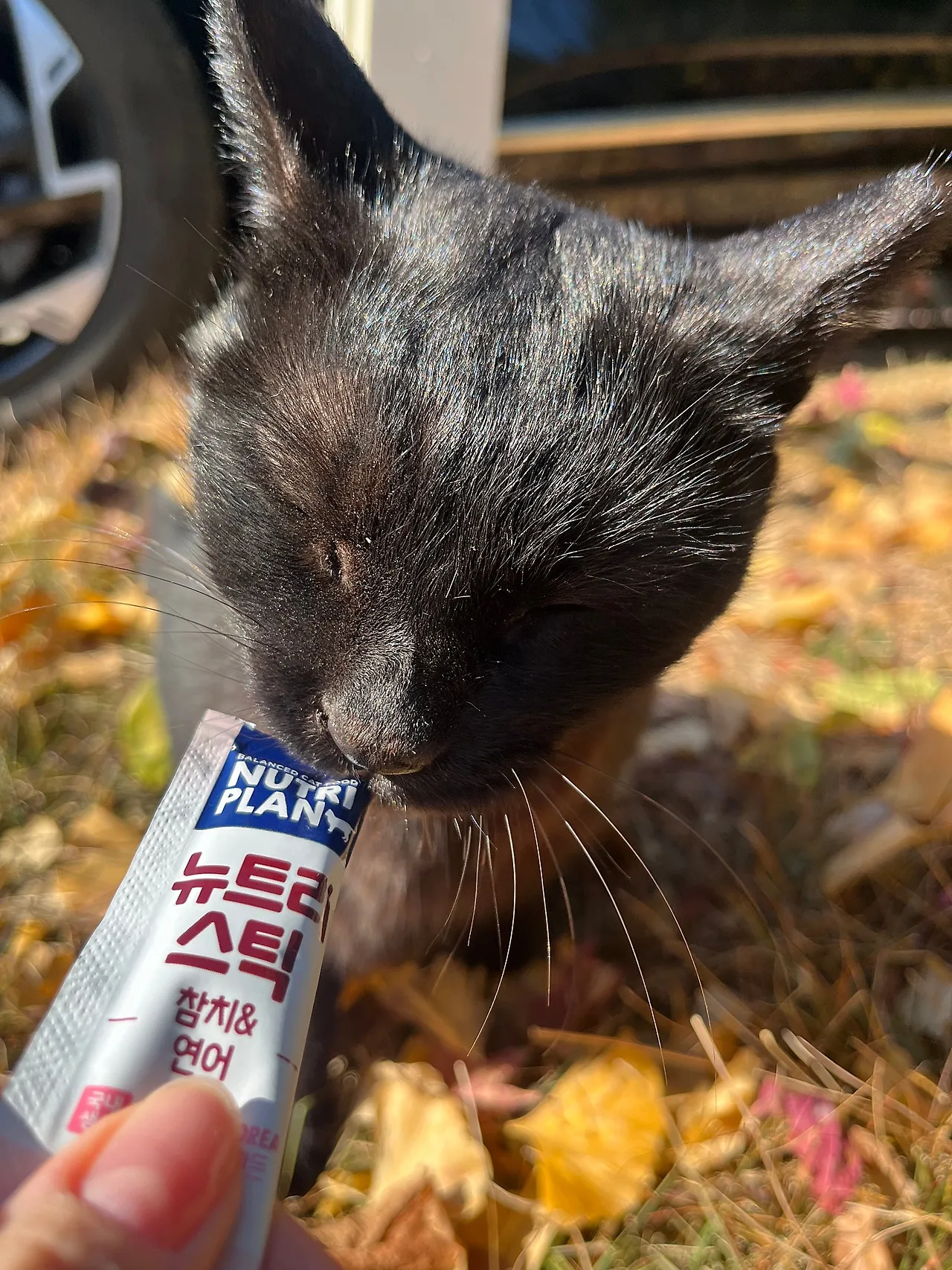 IMG%EF%BC%BF8500.jpg?type=w1600