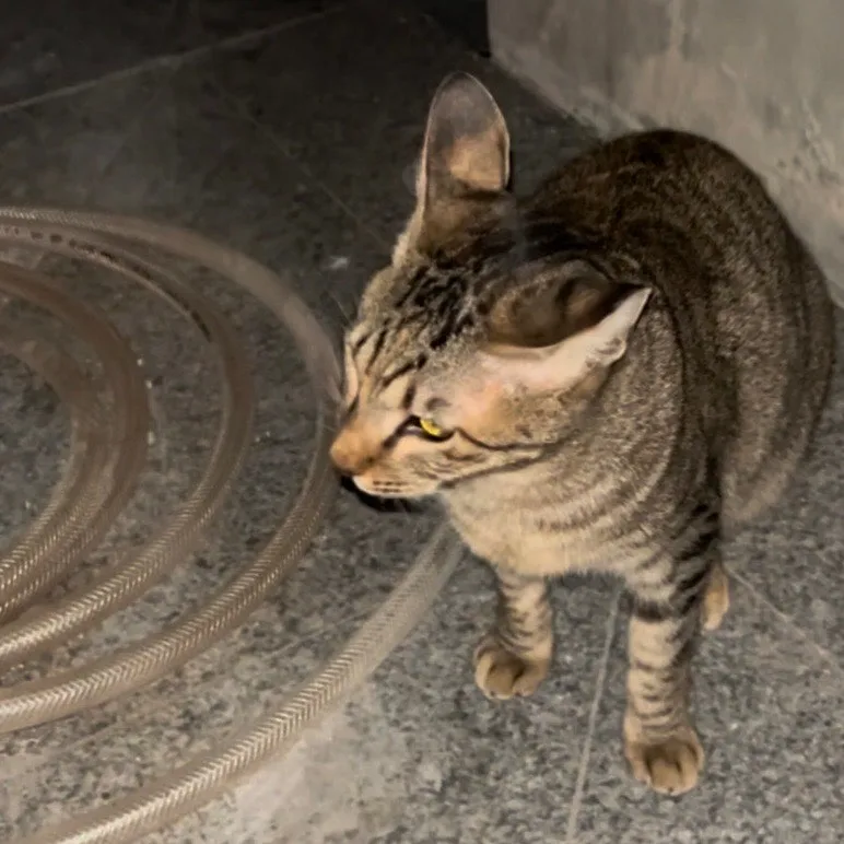 IMG%EF%BC%BF3724.jpg?type=w1600