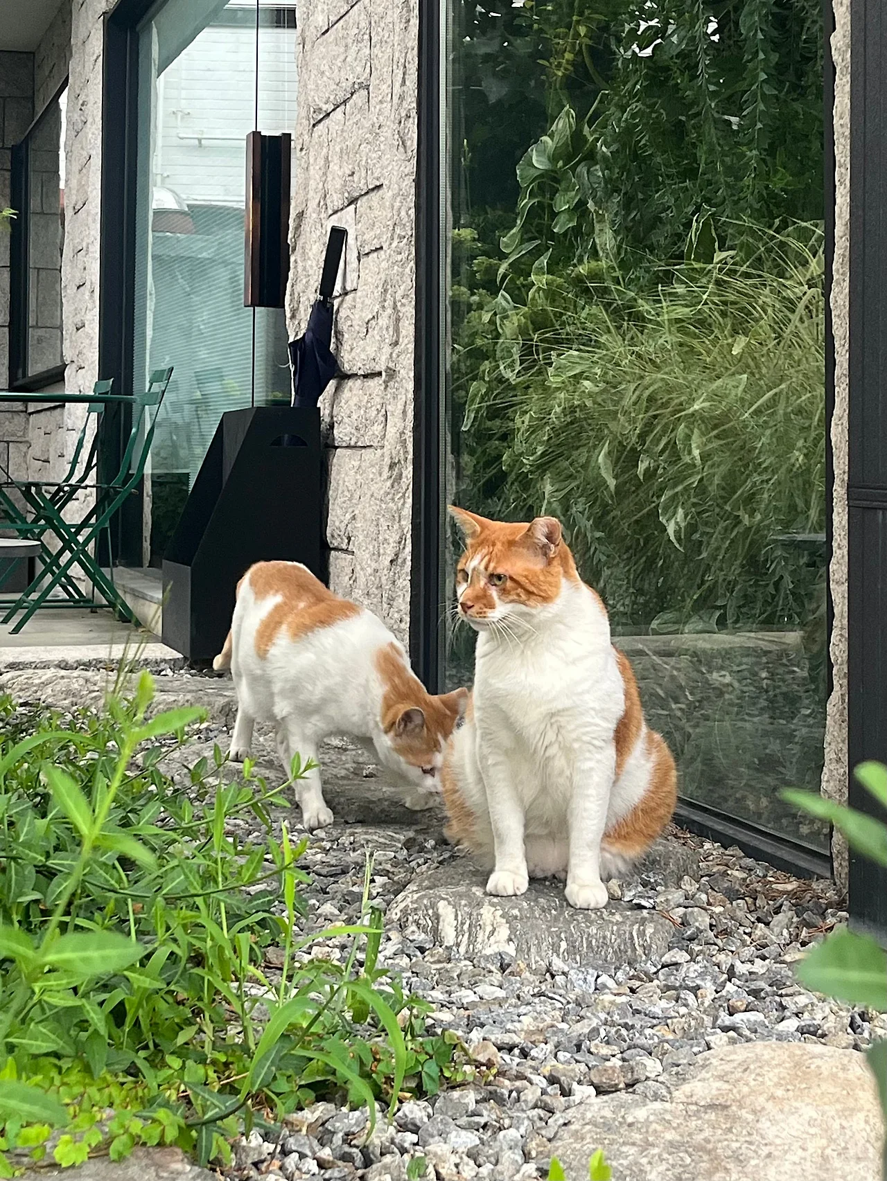 IMG%EF%BC%BF0673.jpg?type=w1600